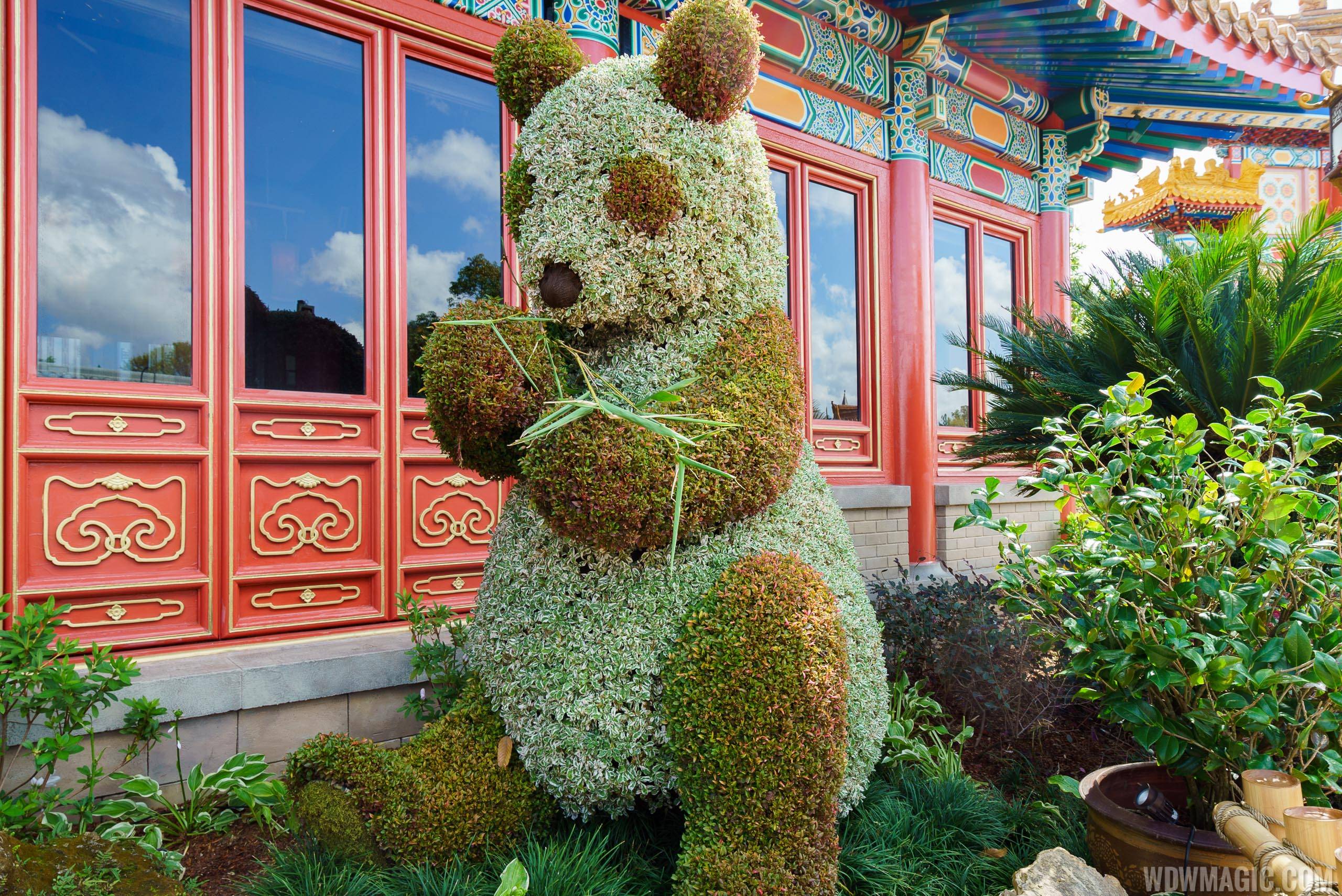 2017 Flower and Garden Festival - Panda topiary at China