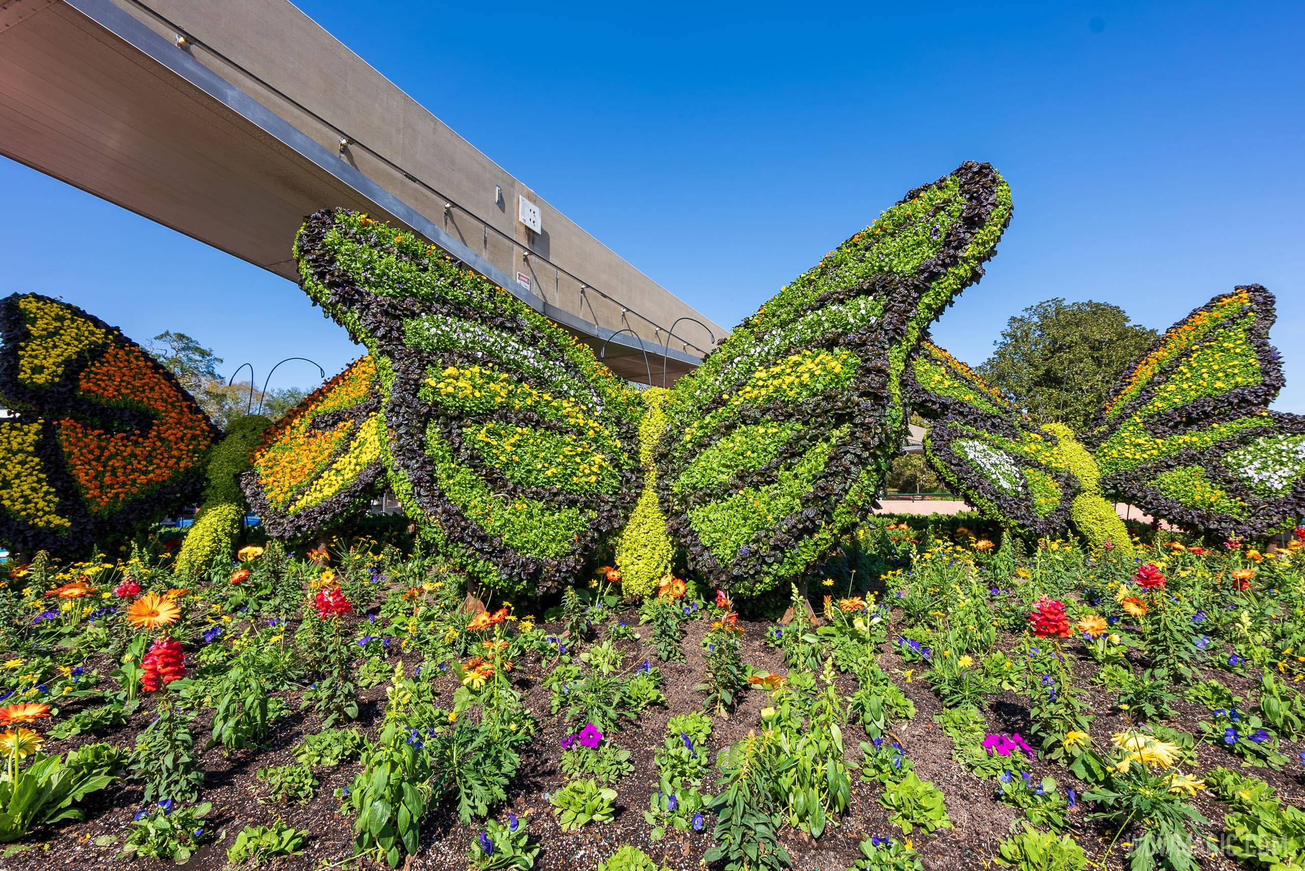 PHOTOS - First topiary in place as preparations continue for the 2021 EPCOT Flower and Garden Festival