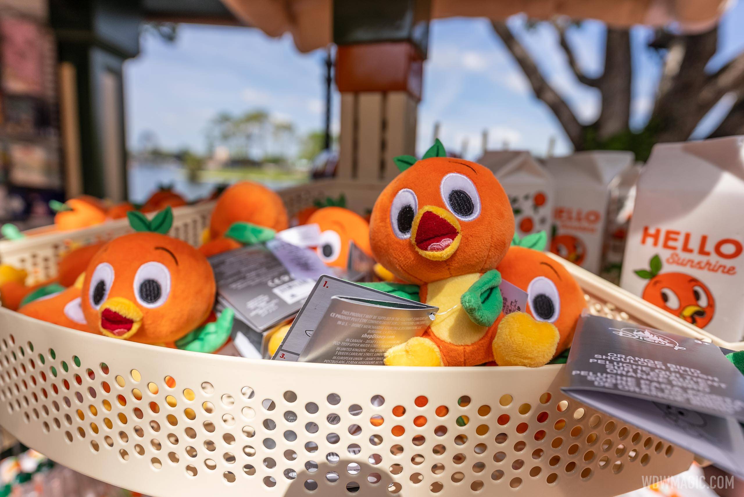 PHOTO - Orange Bird 'thank you' magnet mailing soon to Walt Disney