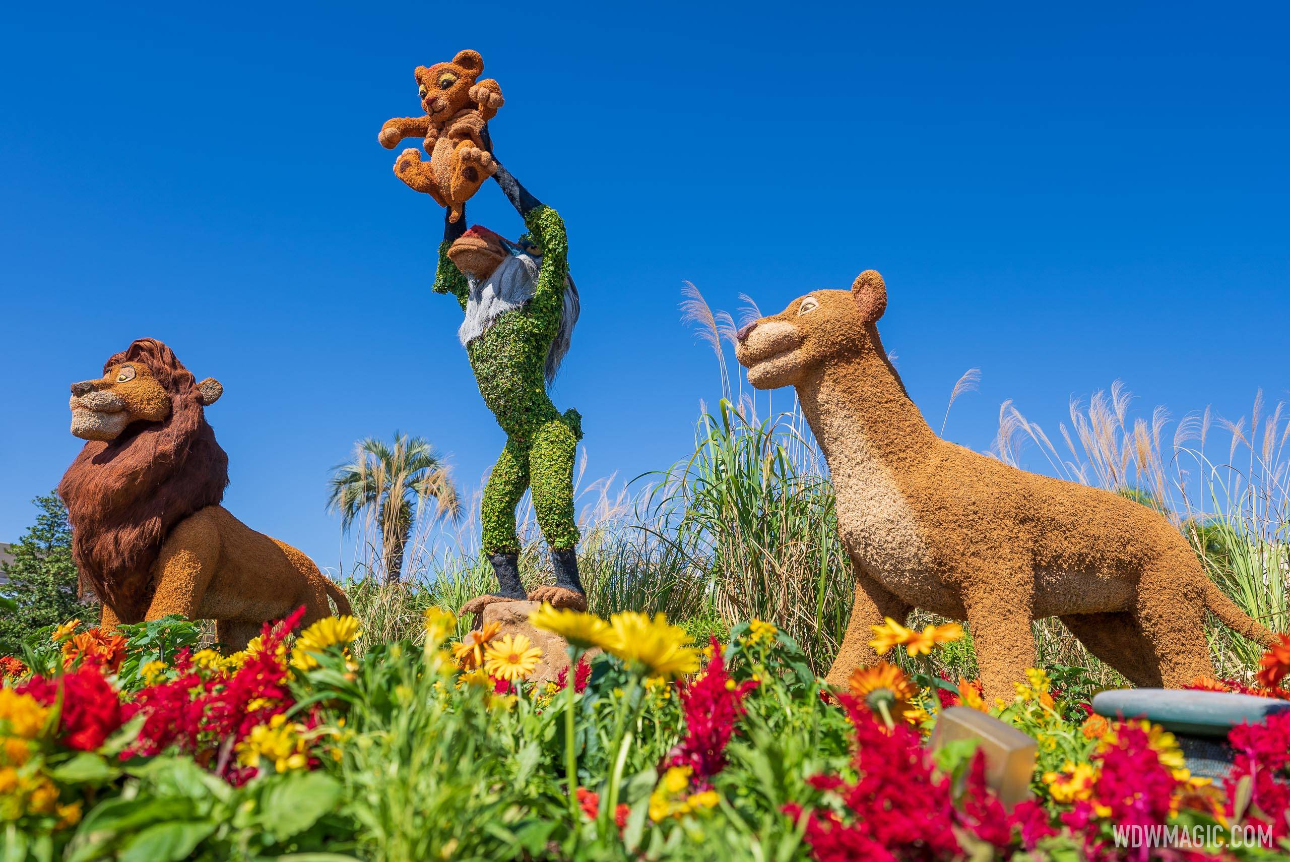 2022 EPCOT International Flower and Garden Festival blooms at Walt