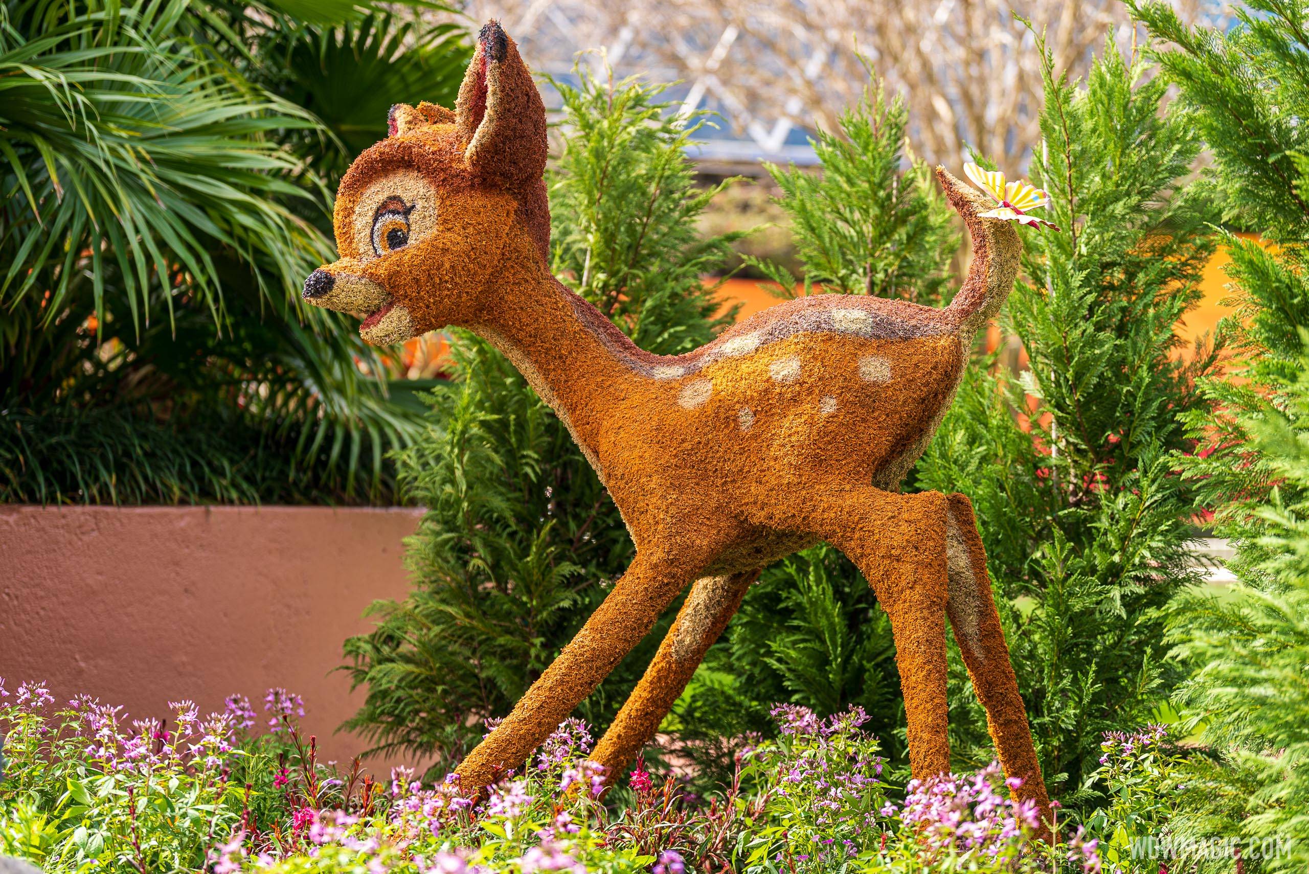 Bambi and Friends – near Imagination!