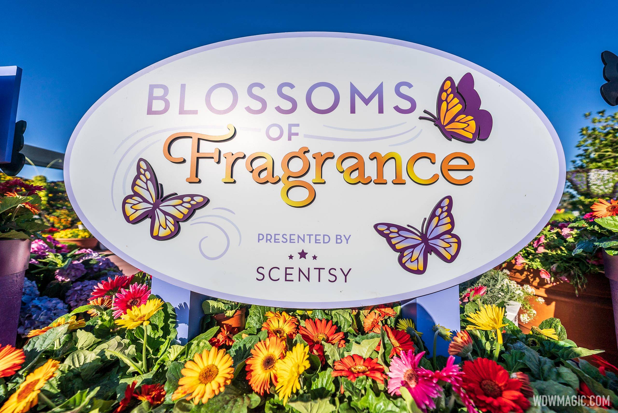 Blossoms of Fragrance presented by Scentsy