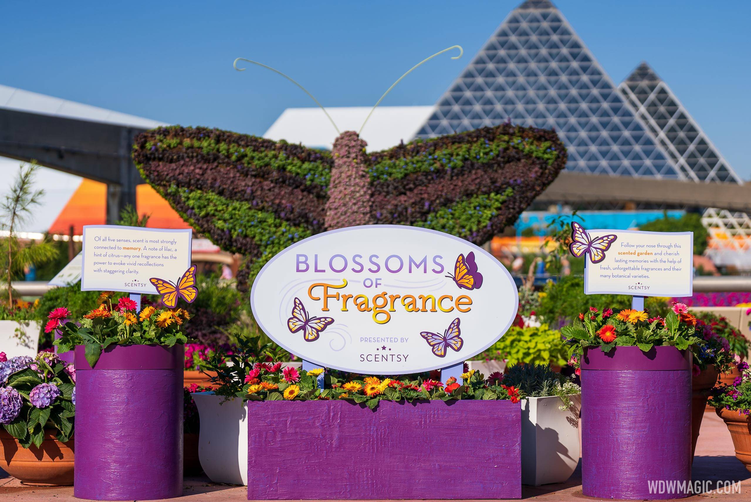 Blossoms of Fragrance presented by Scentsy
