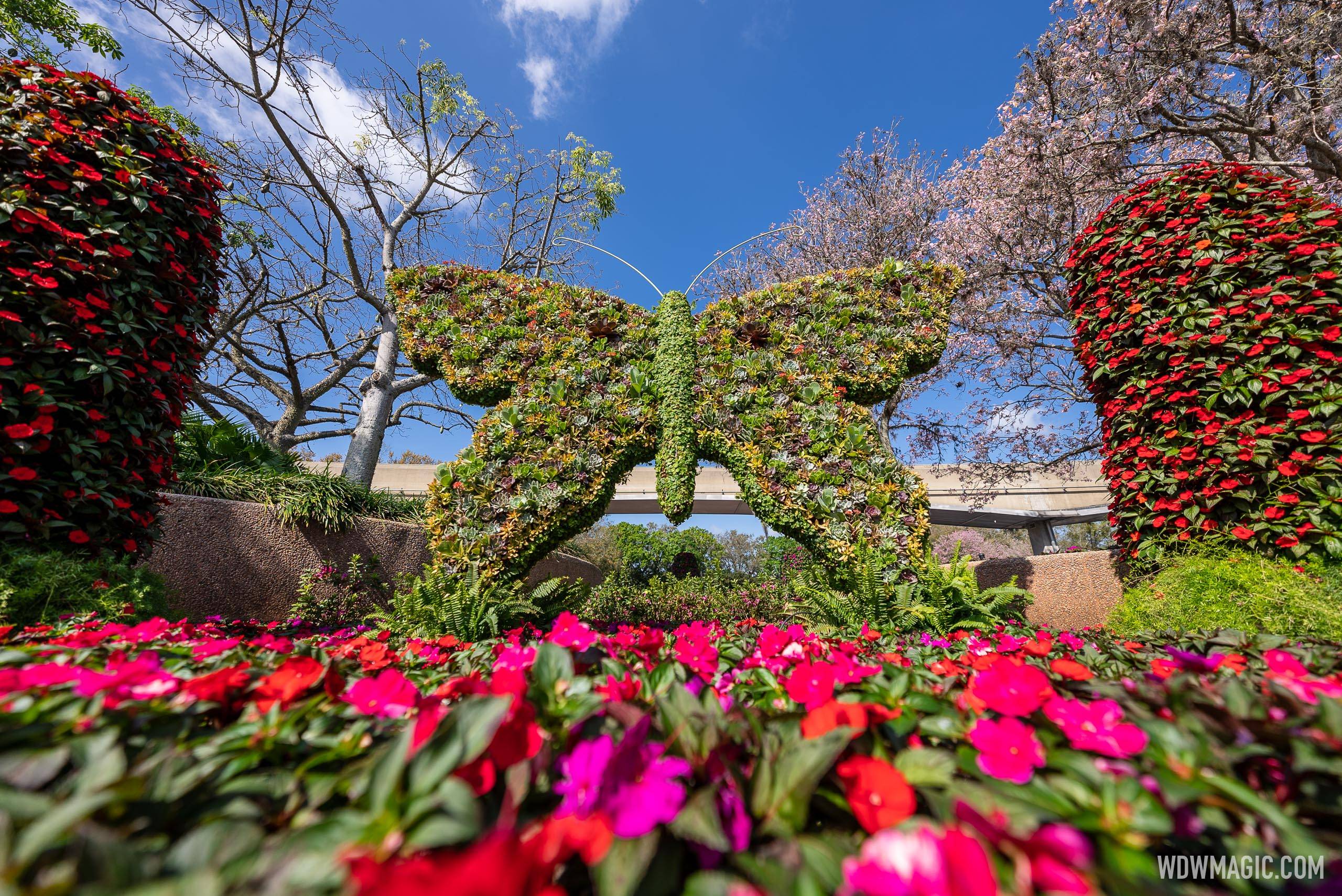 Butterfly topiary in World Nature