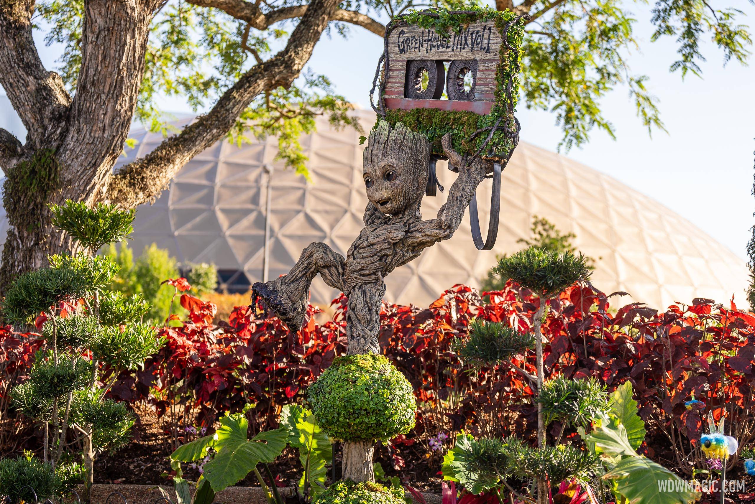 Watch Disney install the new Guardians of the Galaxy topiary for the 2024 EPCOT International Flower and Garden Festival
