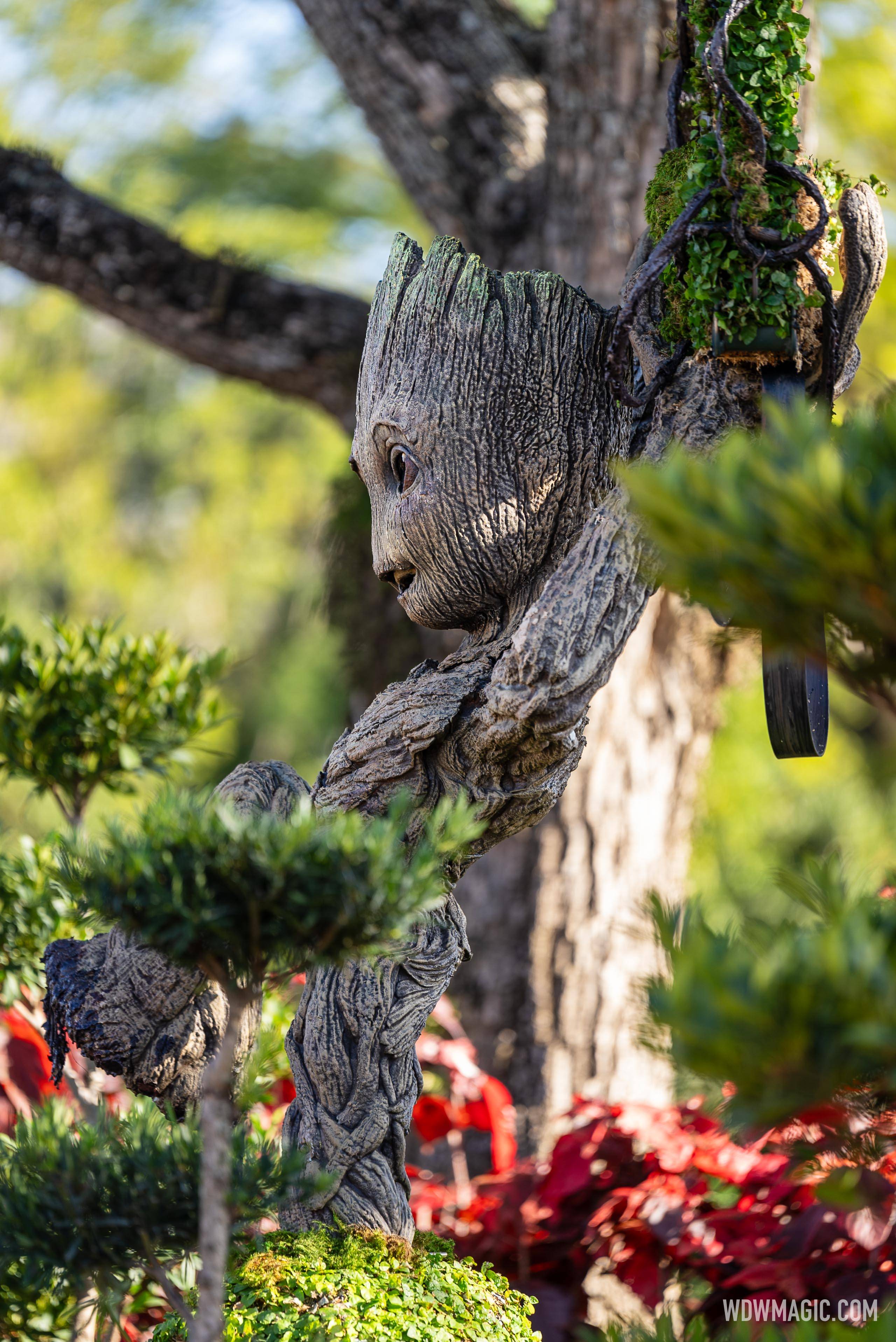 Groot Topiary at EPCOT International Flower and Garden Festival