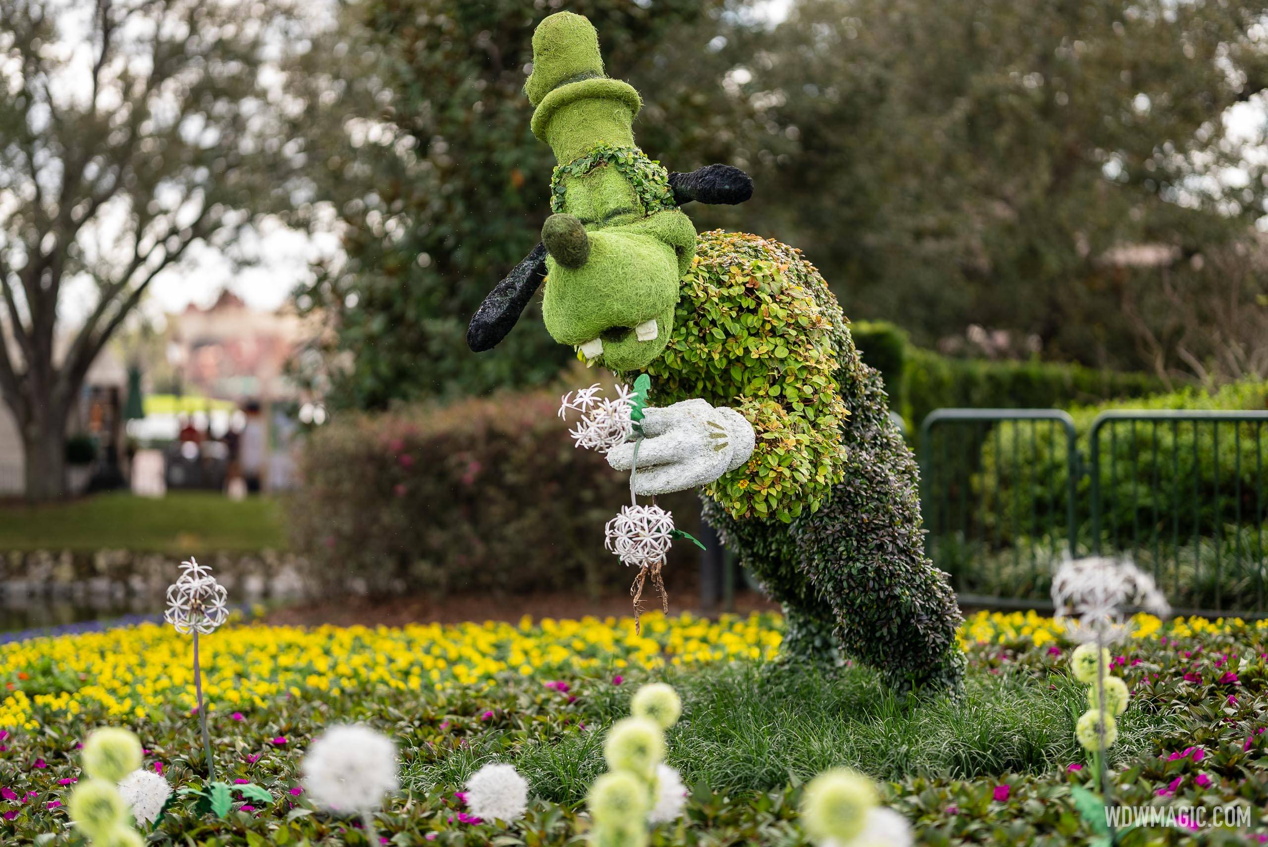 Goofy topiary