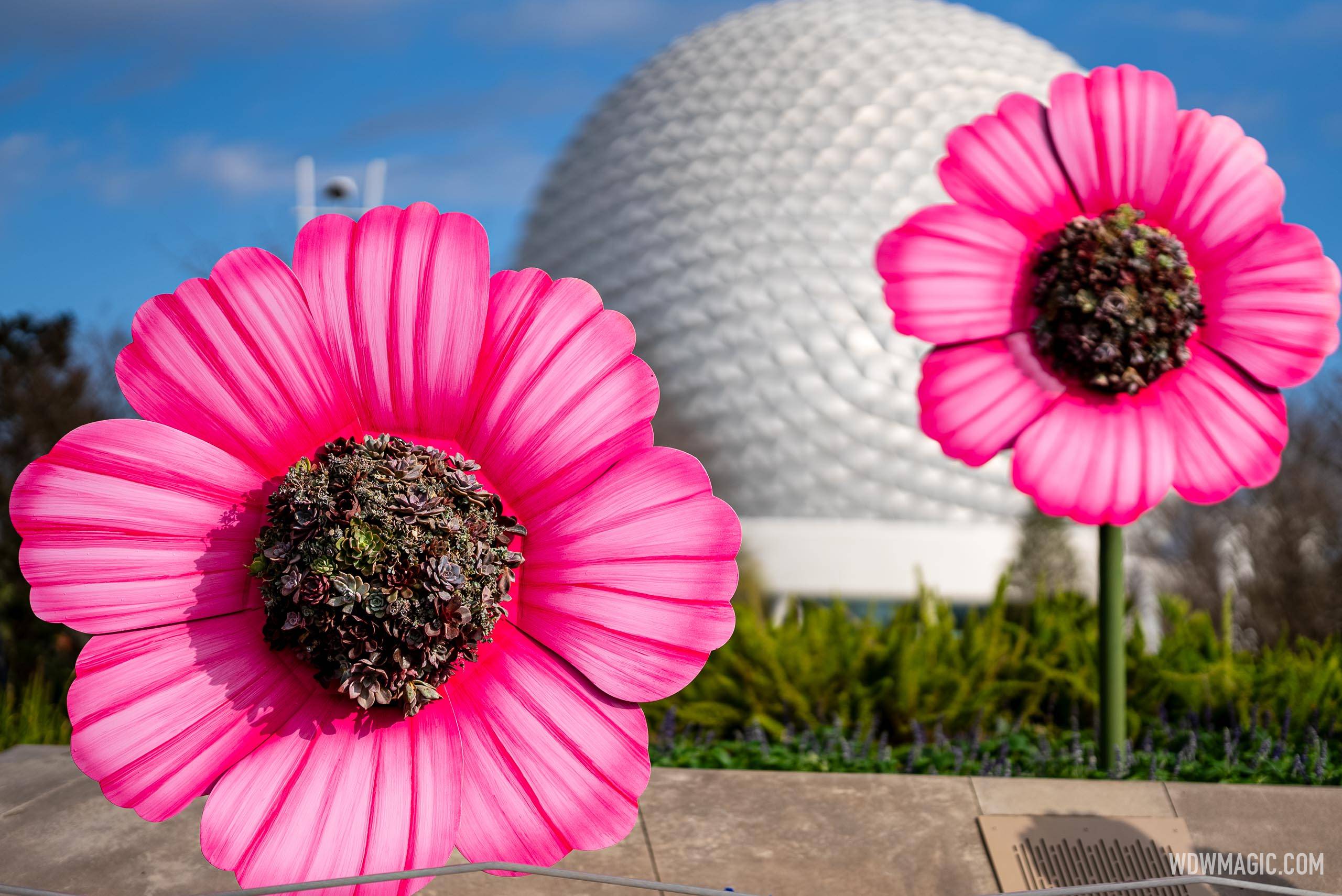 Elsa Topiary from Frozen Gets a New Look at EPCOT Flower and Garden Festival 2025