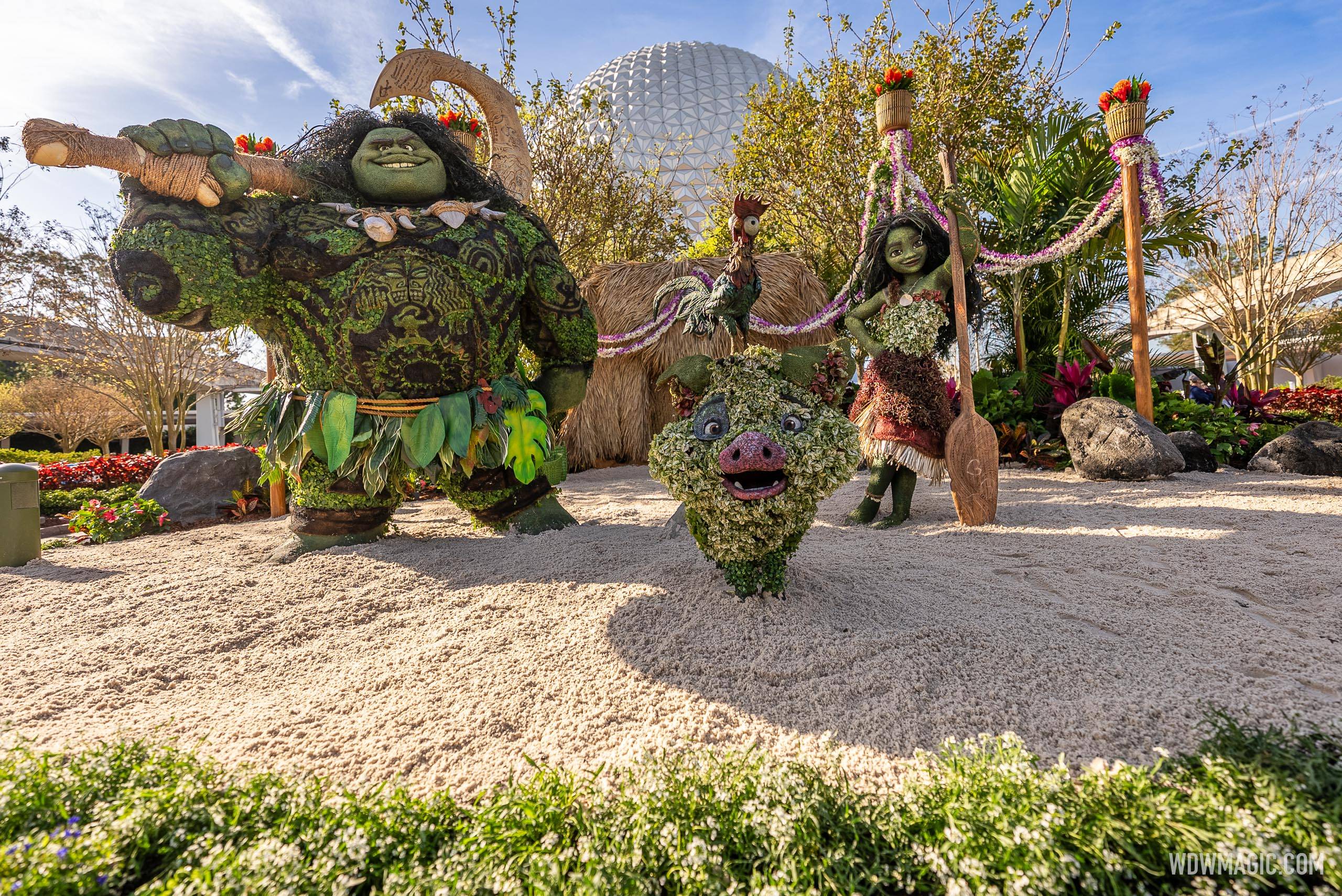 Moana and Maui Topiaries Debut at EPCOT Flower and Garden Festival 2025