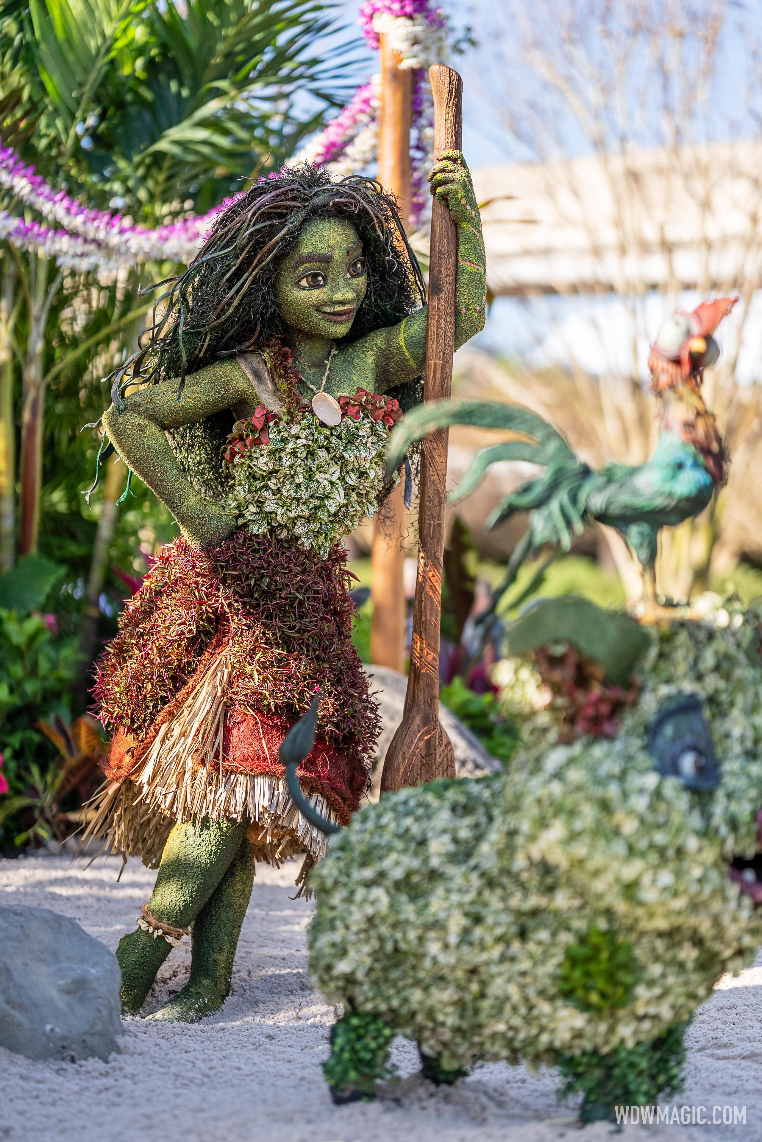 Moana and Maui Topiaries Debut at EPCOT Flower and Garden Festival