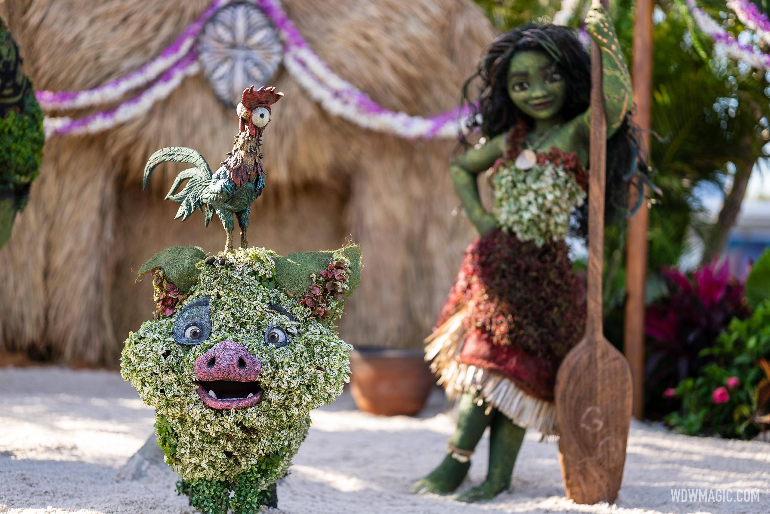 Moana and Maui Topiaries Debut at EPCOT Flower and Garden Festival
