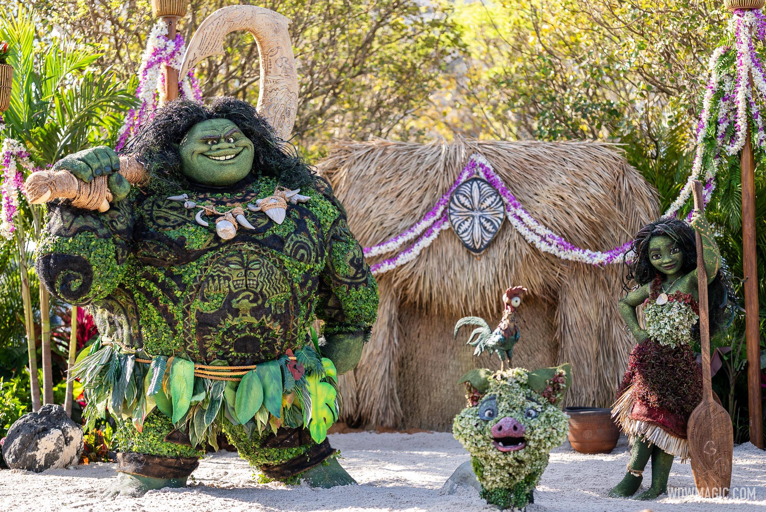 Moana and Maui Topiaries Debut at EPCOT Flower and Garden Festival