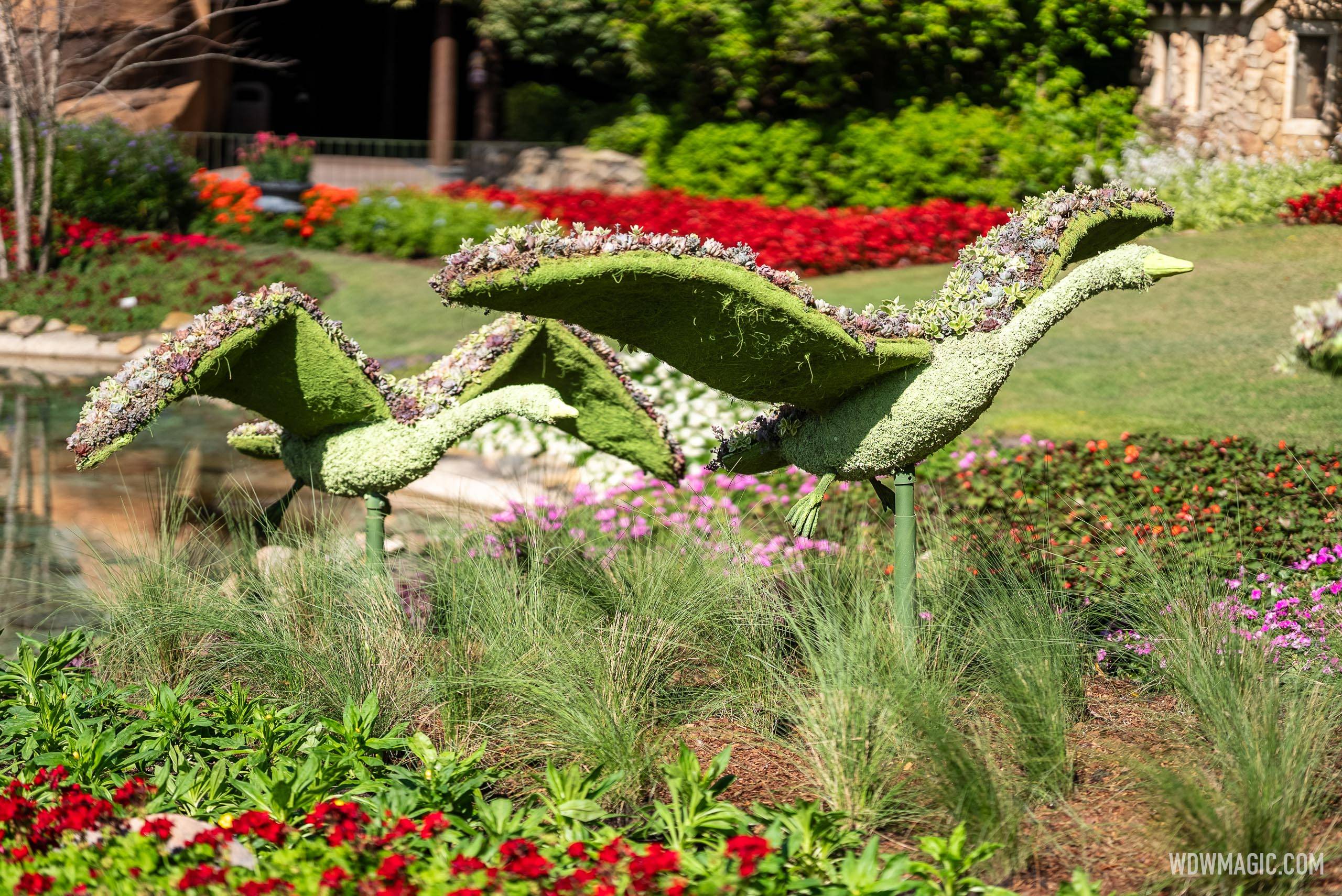 Epcot International Flower and Garden Festival