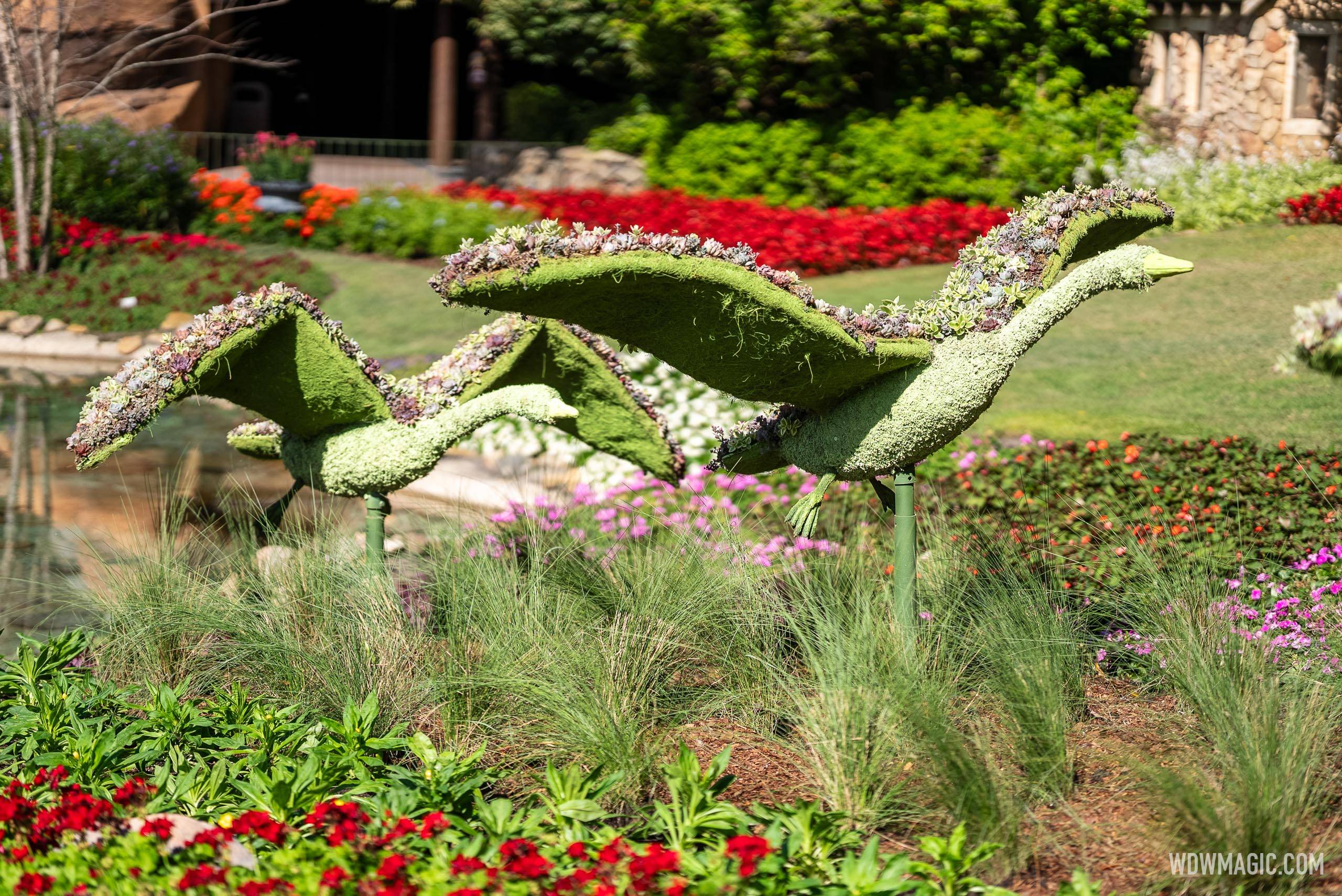 Great Flowers and Music