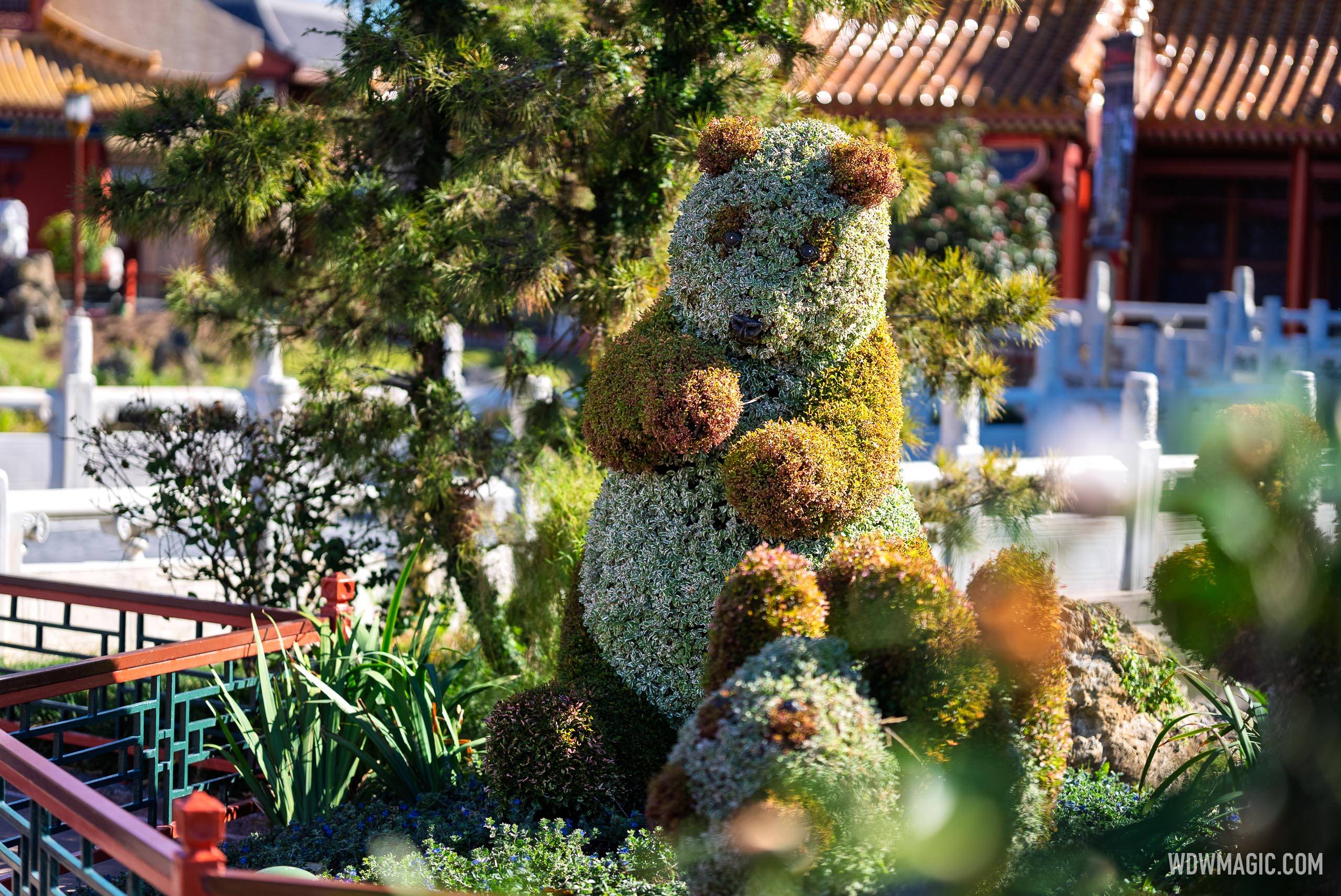 Pandas in China Pavilion