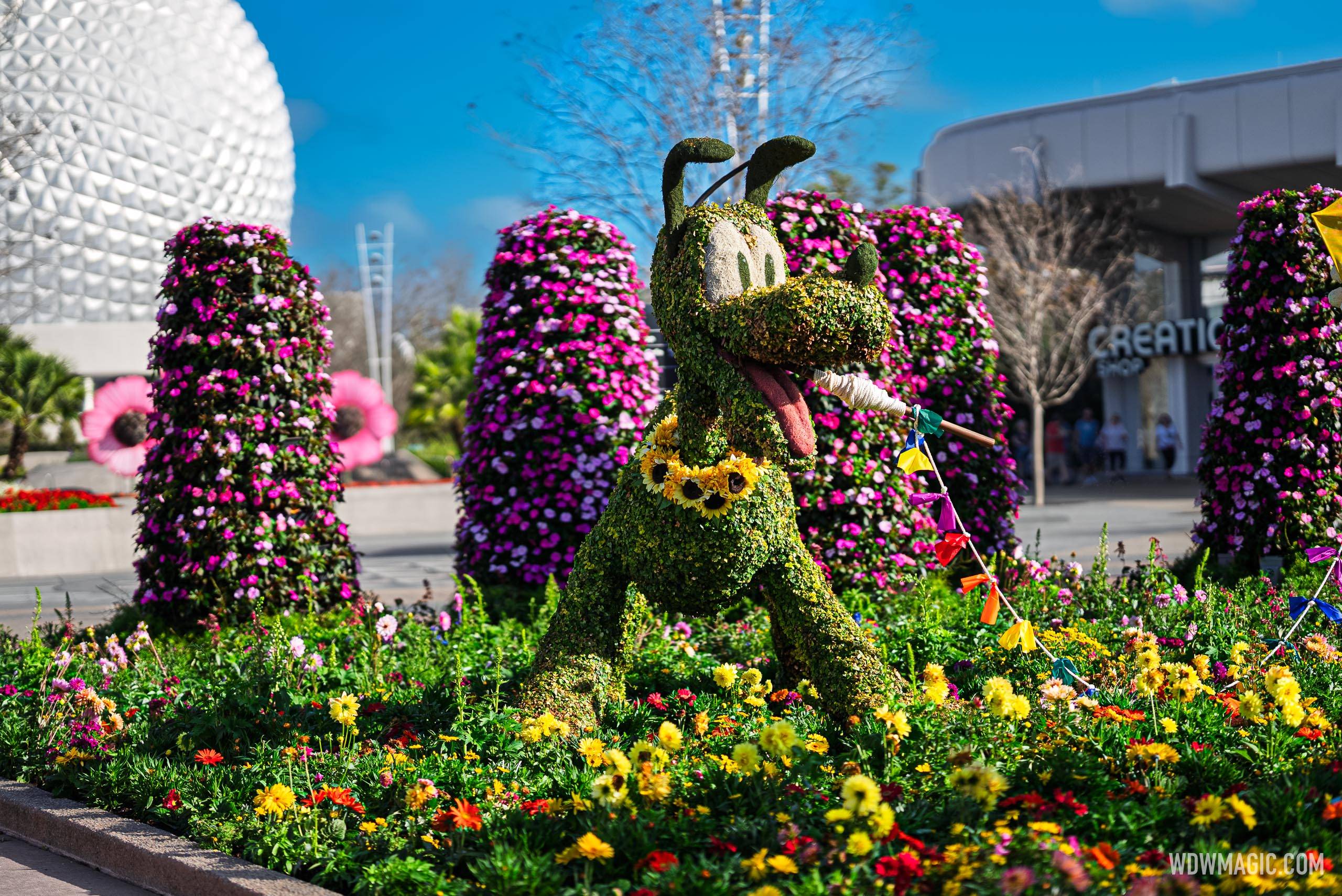 Pluto in World Celebration