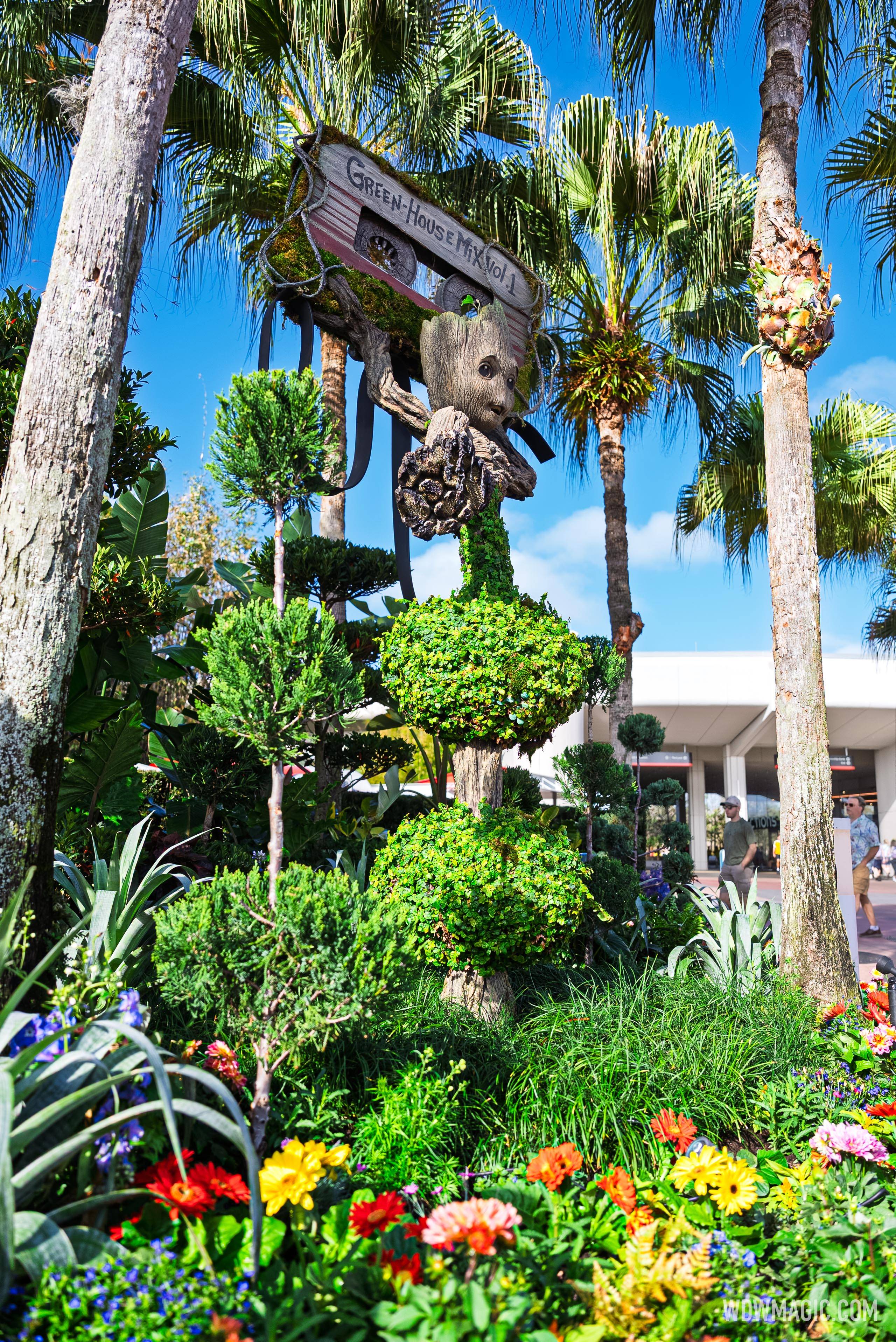 Groot from Guardians of the Galaxy in World Discovery, near Joffrey's Coffee & Tea Company