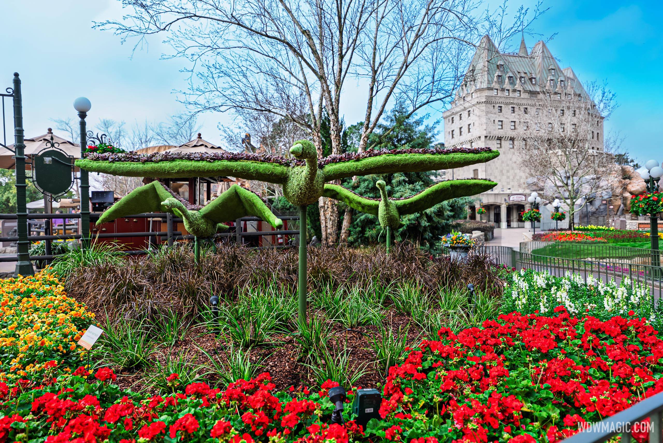 Geese in the Canada Pavilion