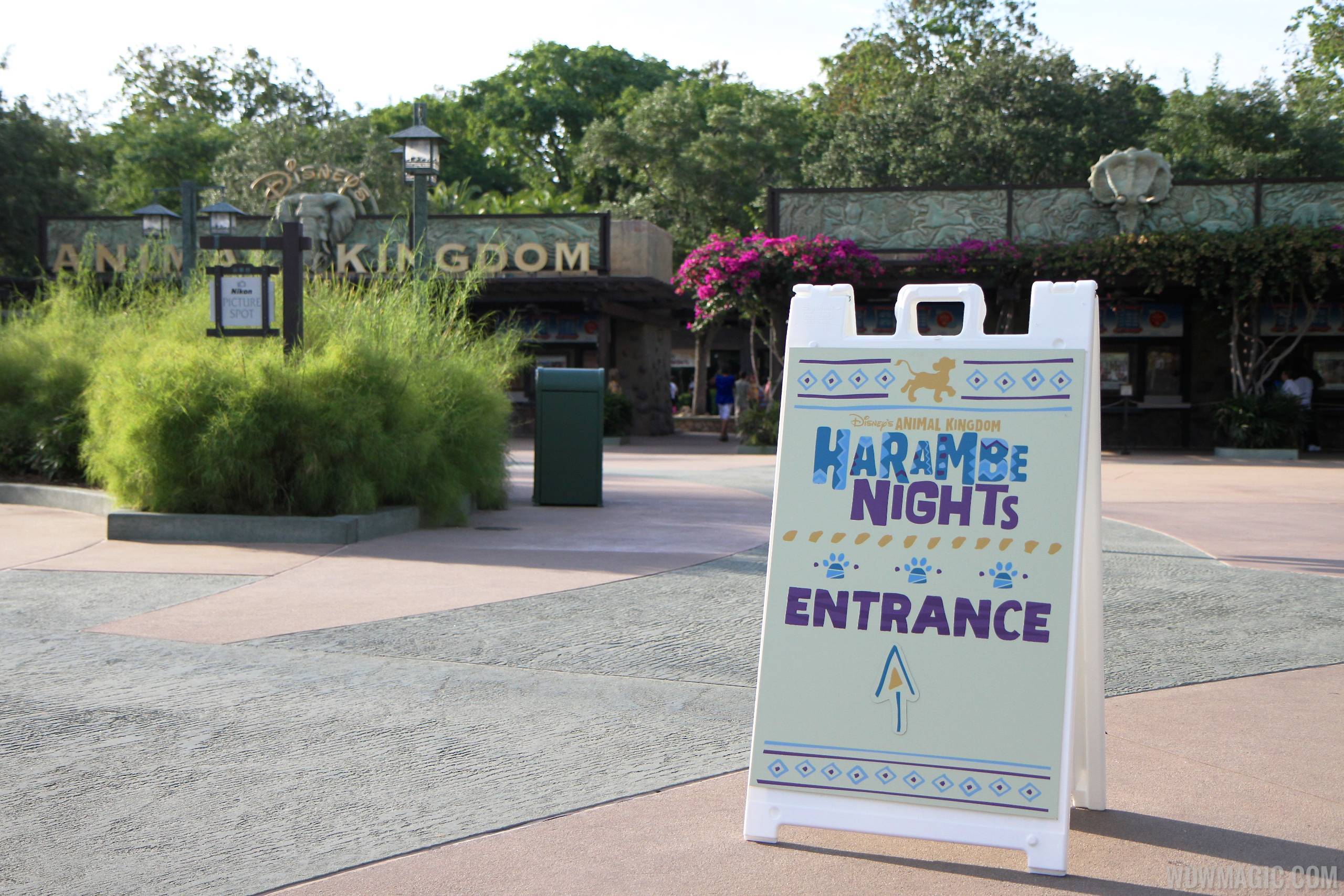 Harambe Nights - Main entrance signage