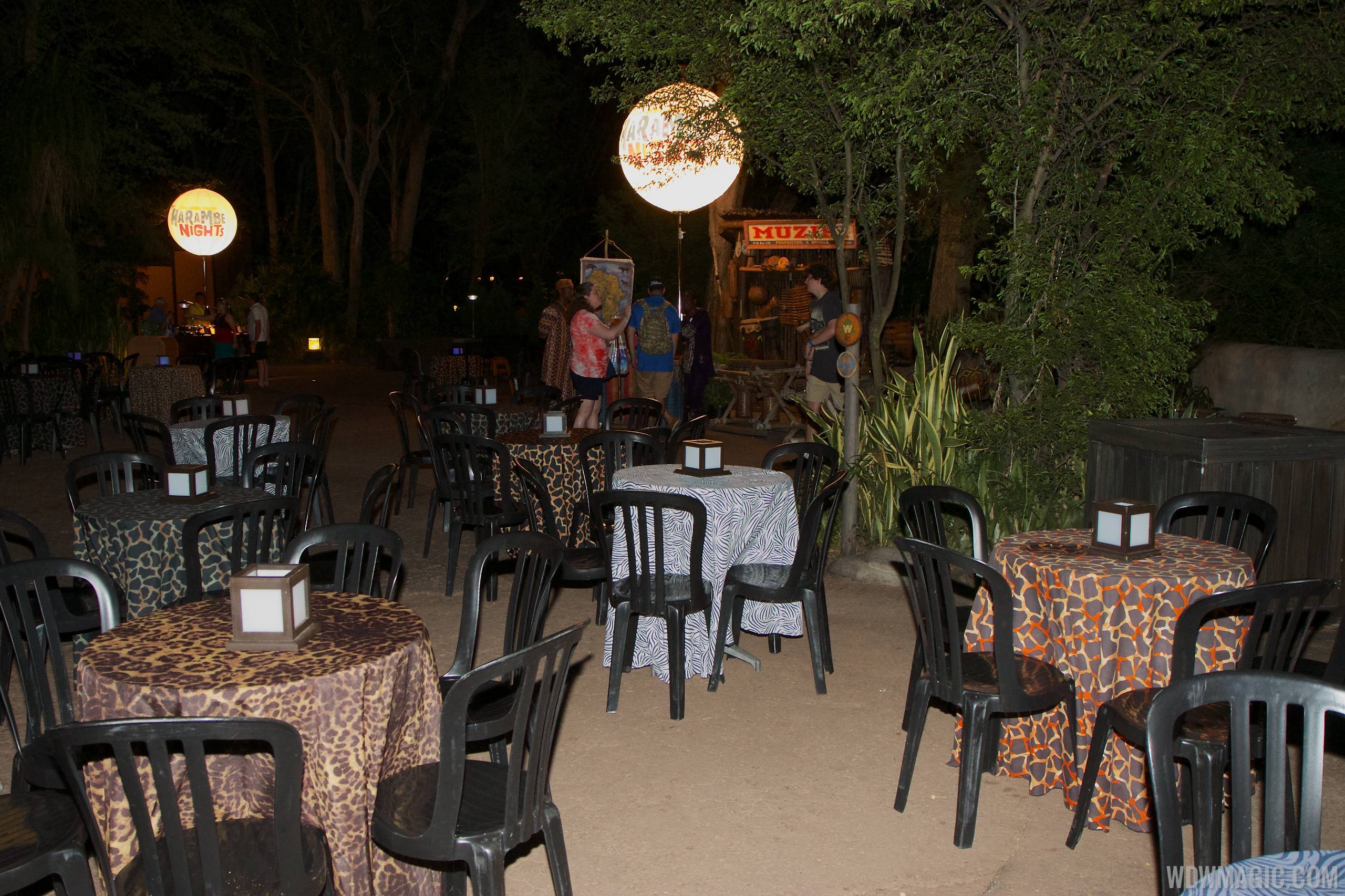 Harambe Nights - Outdoor seating stations