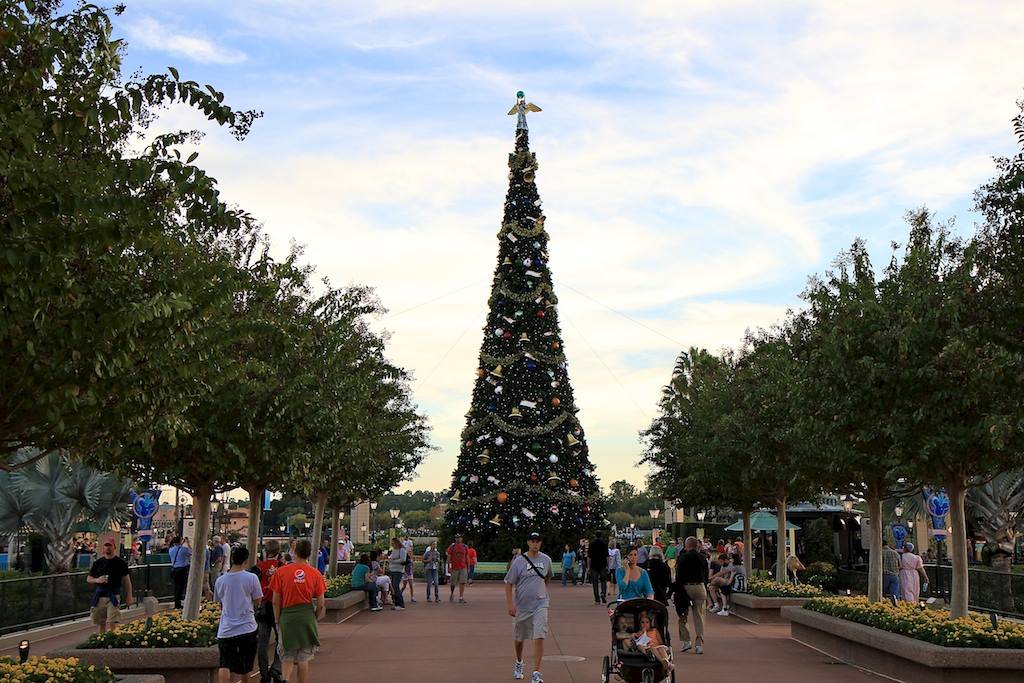 Epcot's Christmas tree now in place