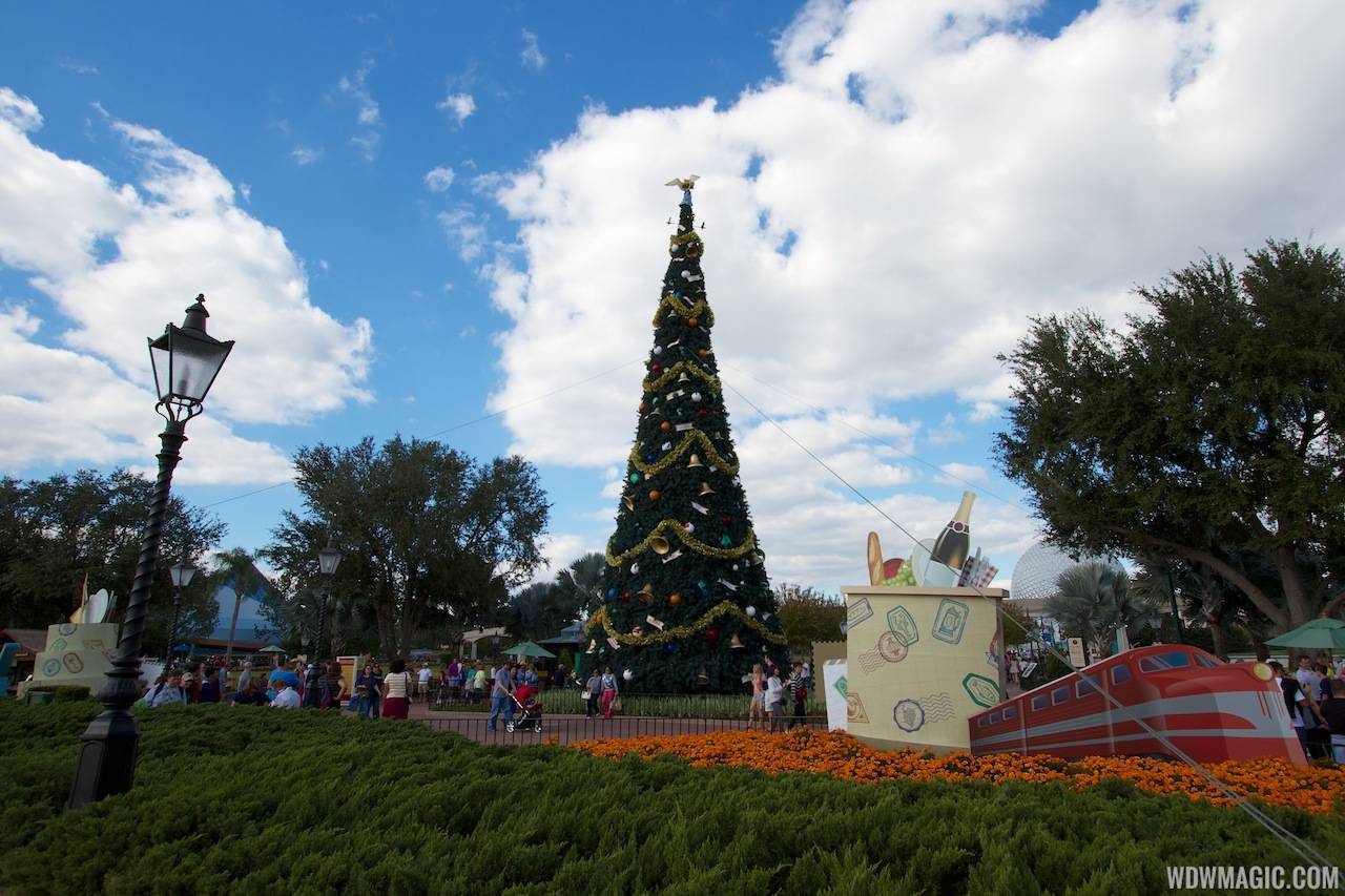 PHOTOS - Epcot's Christmas Trees now in place