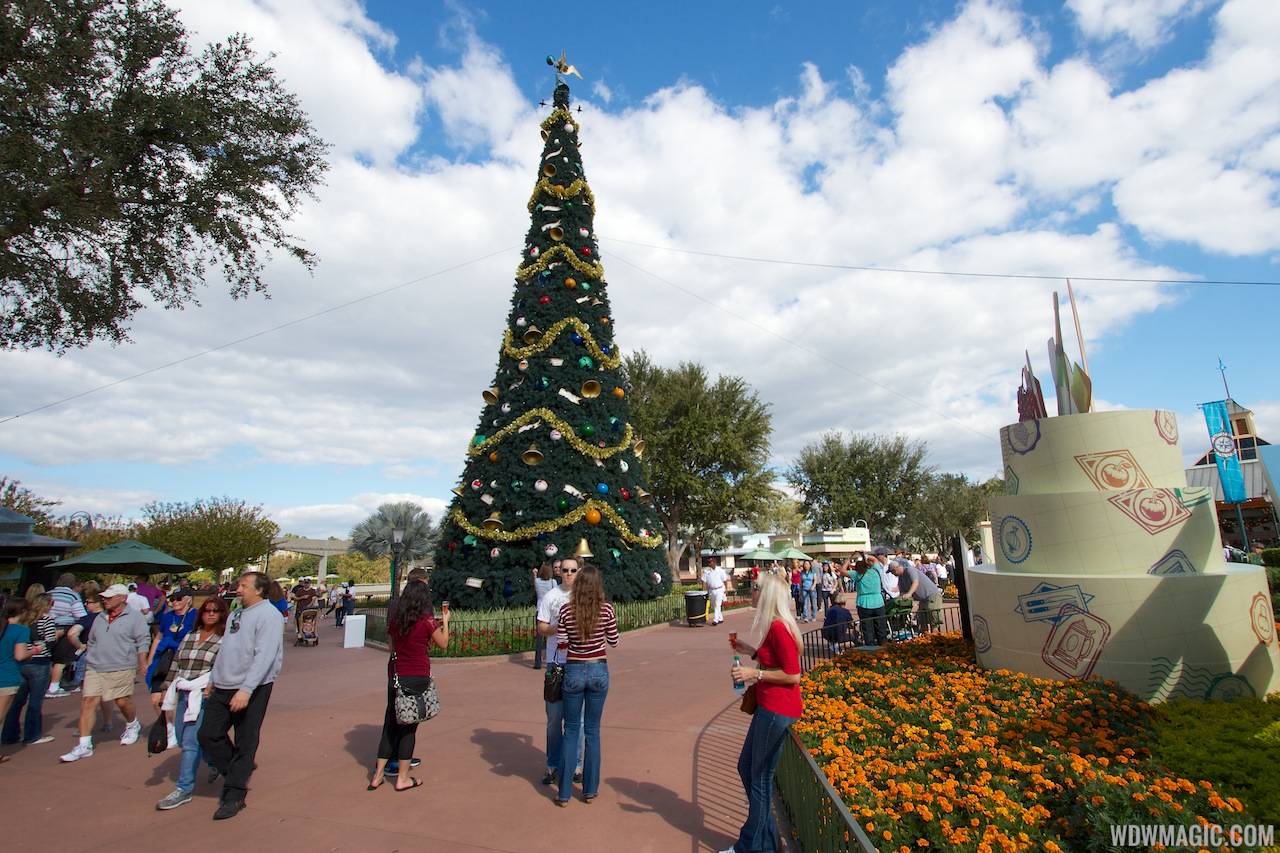 PHOTOS - Epcot's Christmas Trees now in place