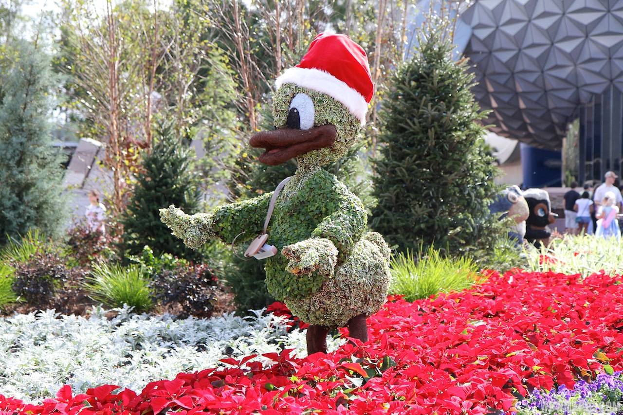 Epcot Main entrance decorations for 2012 - Donald Topiary
