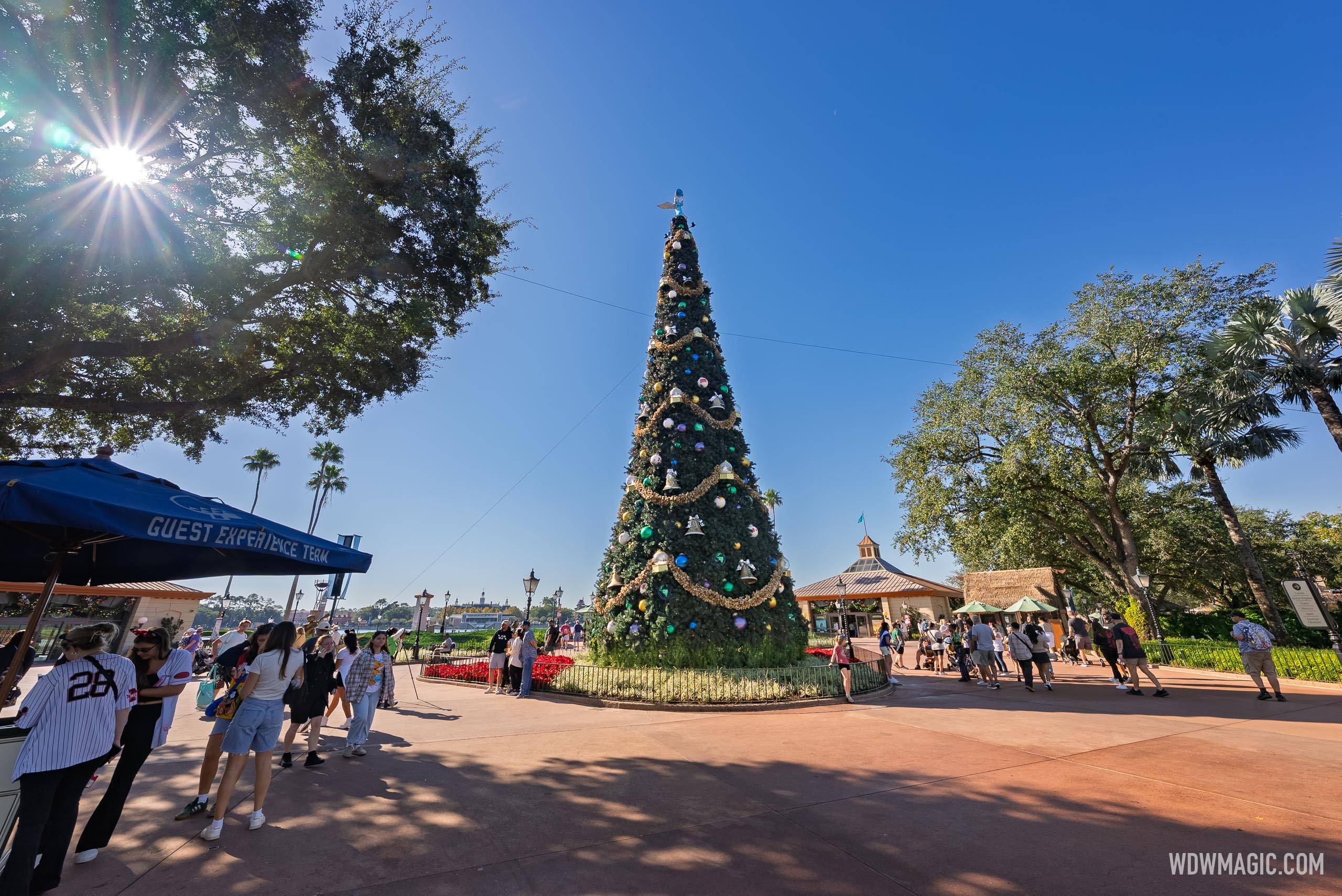 EPCOT 2025 Christmas Tree Arrival