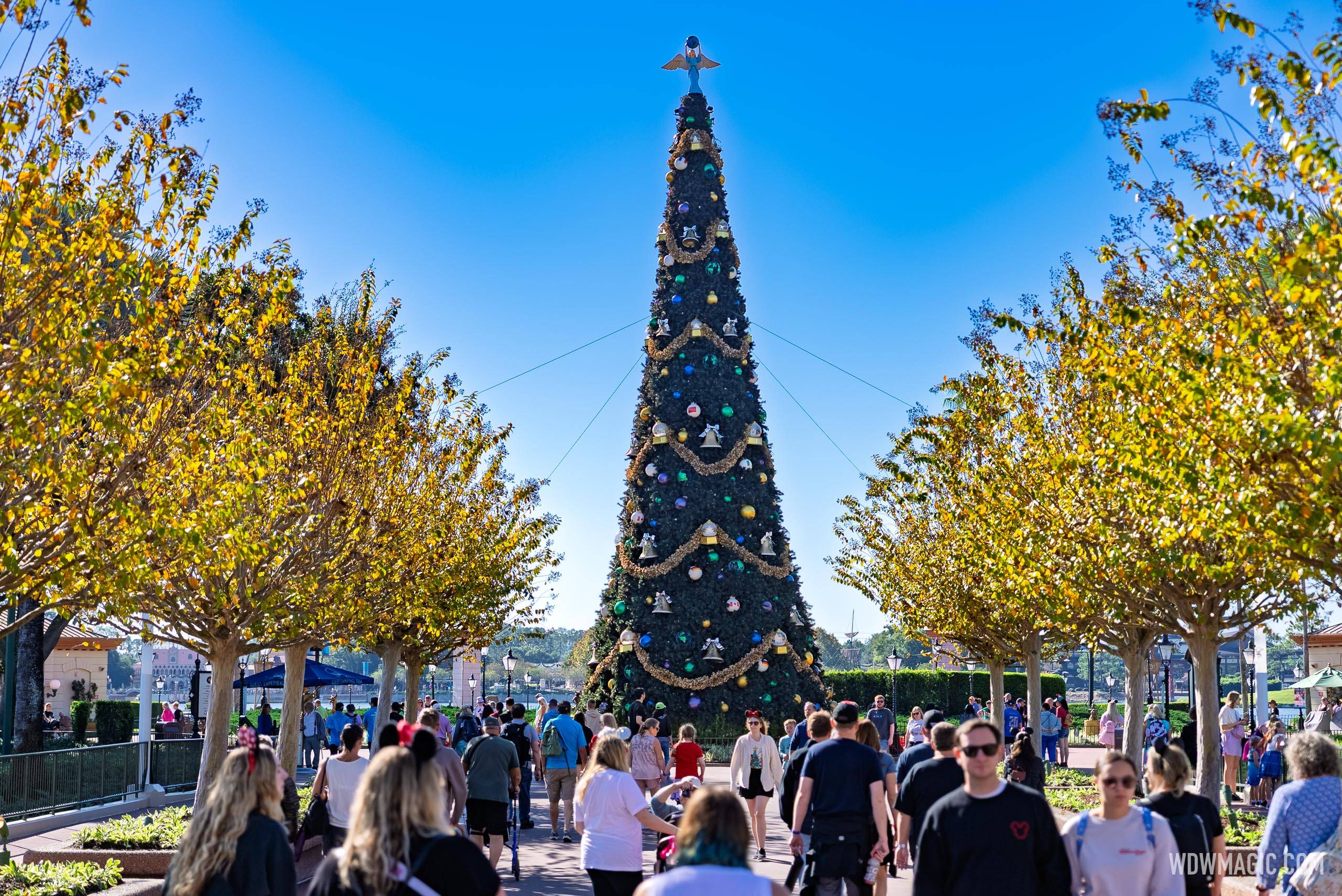 EPCOT 2025 Christmas Tree Arrival