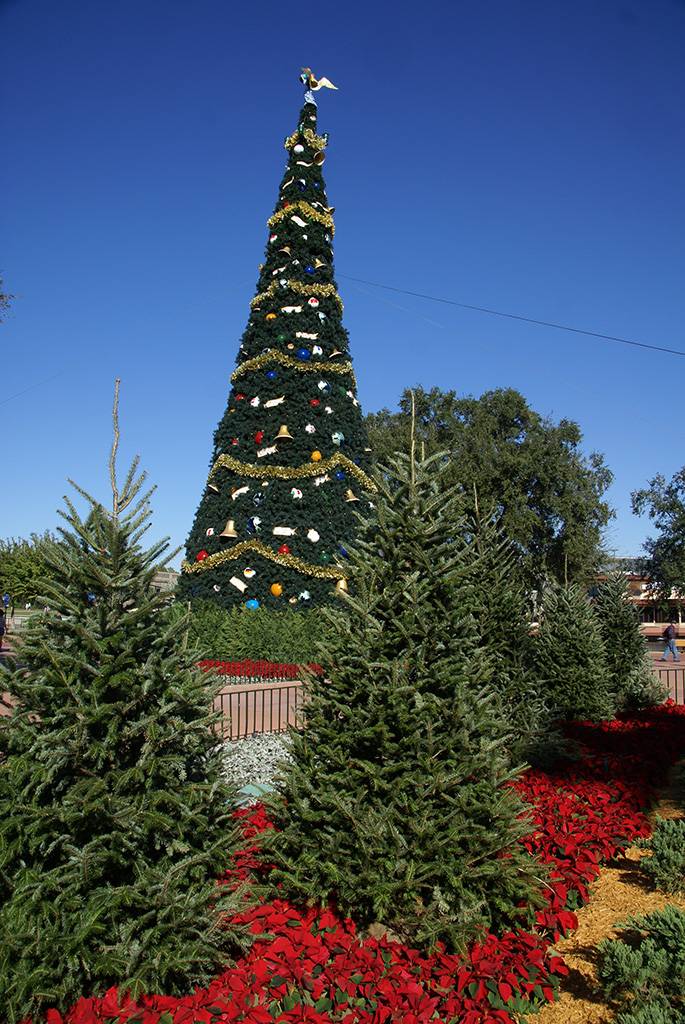 2009 Christmas tree