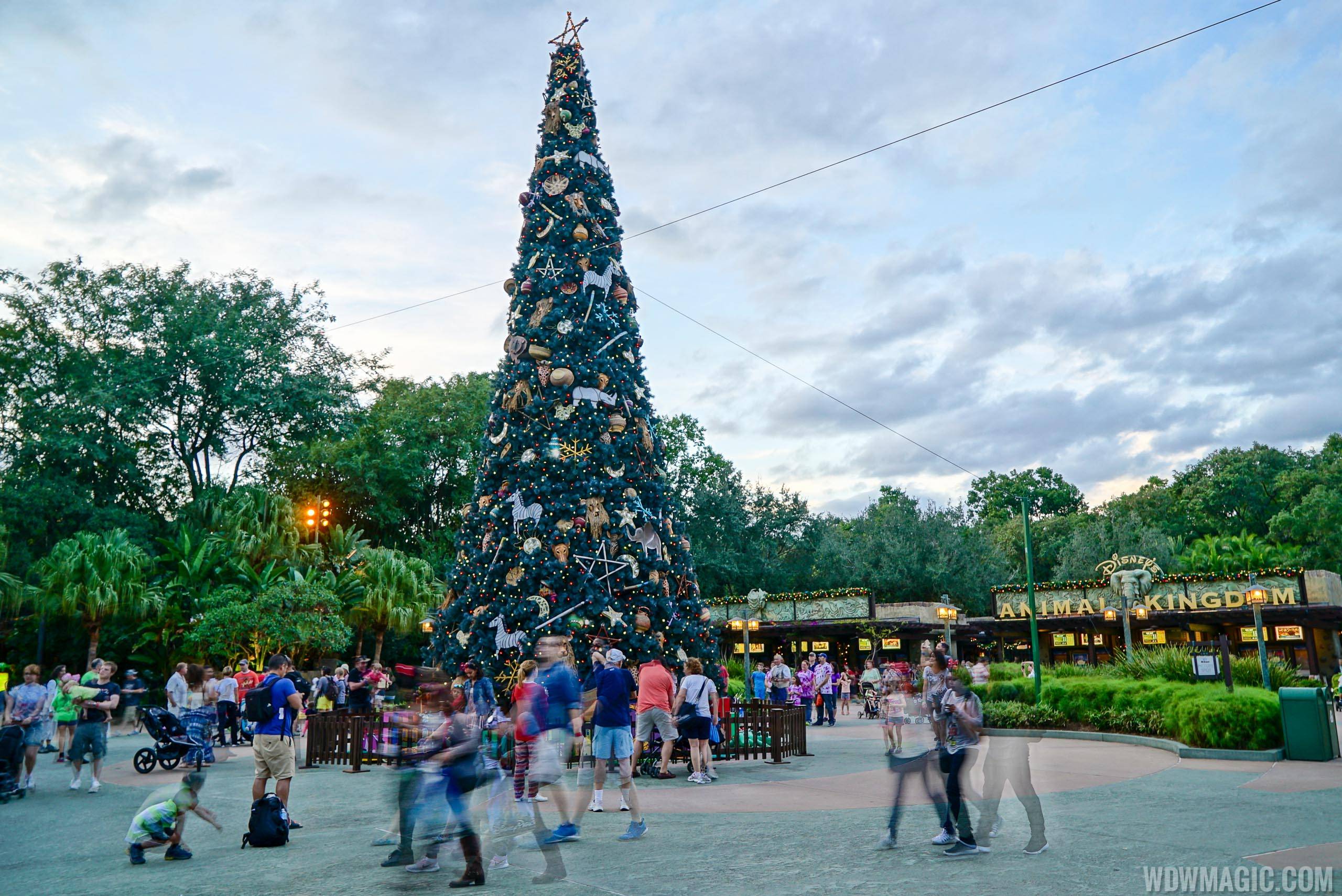 Disney's Animal Kingdom holiday decorations 2015