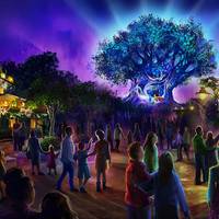 Disney's Animal Kingdom to host New Year's Eve for the first time since the  Millennium