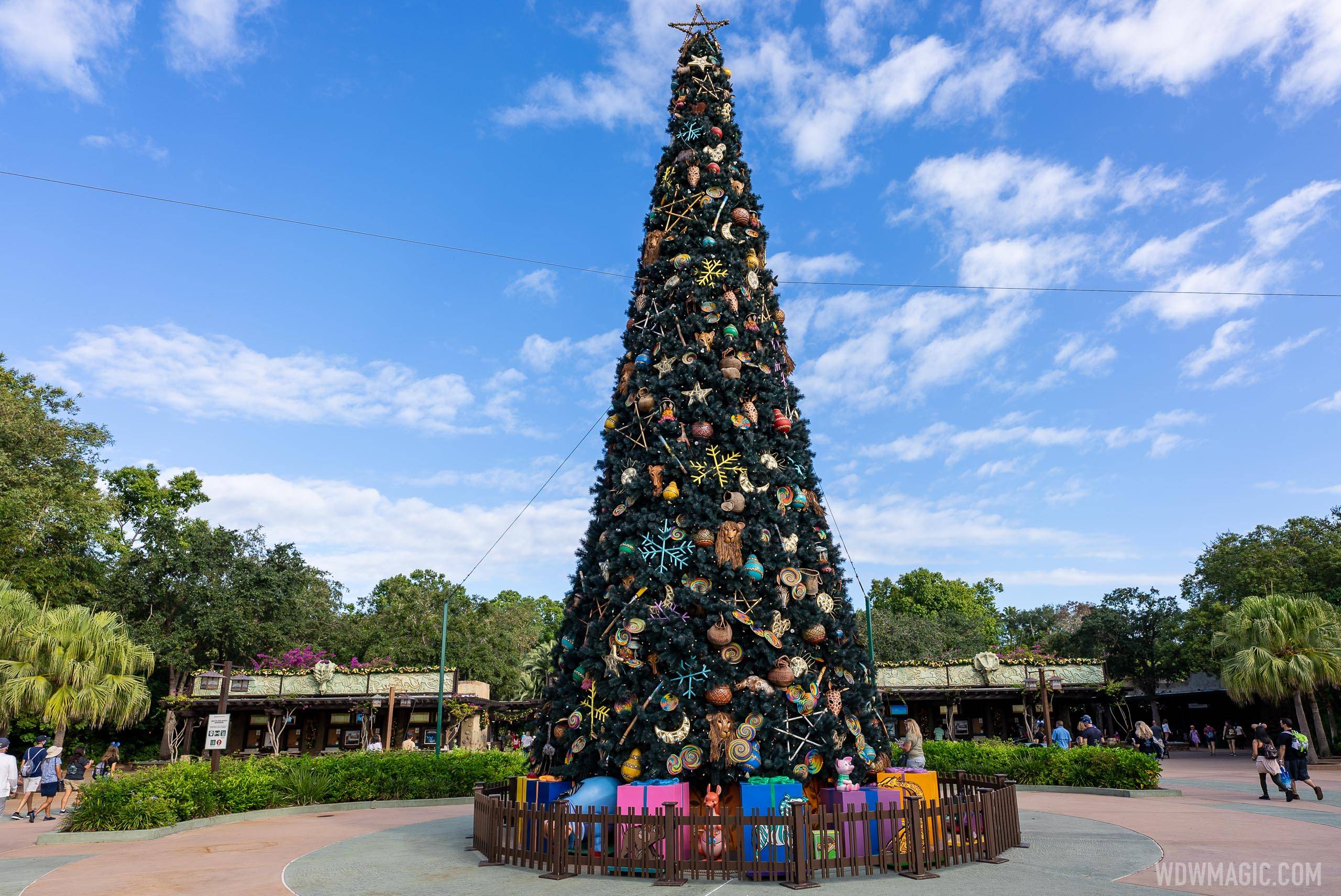 PHOTOS - Disney's Animal Kingdom is now decorated for the holidays