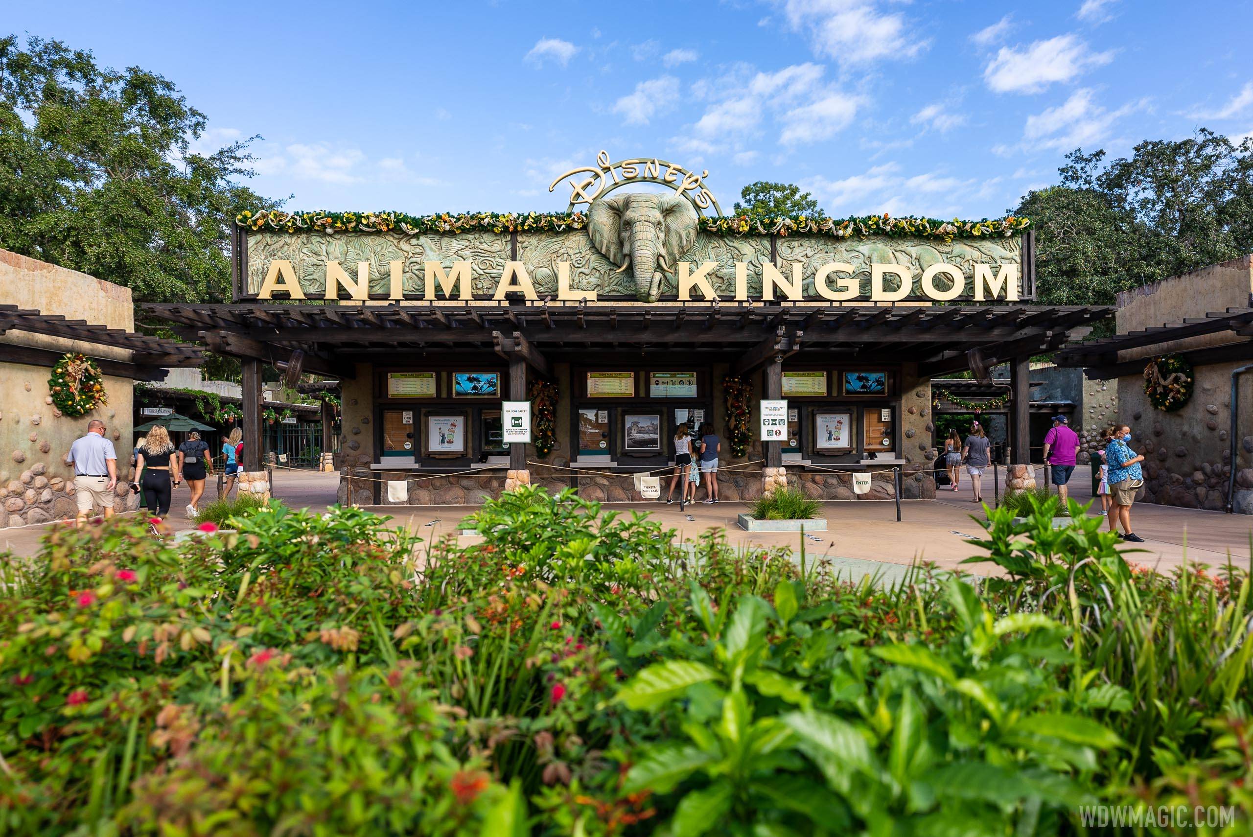 Disney's Animal Kingdom now has more 8am openings in December