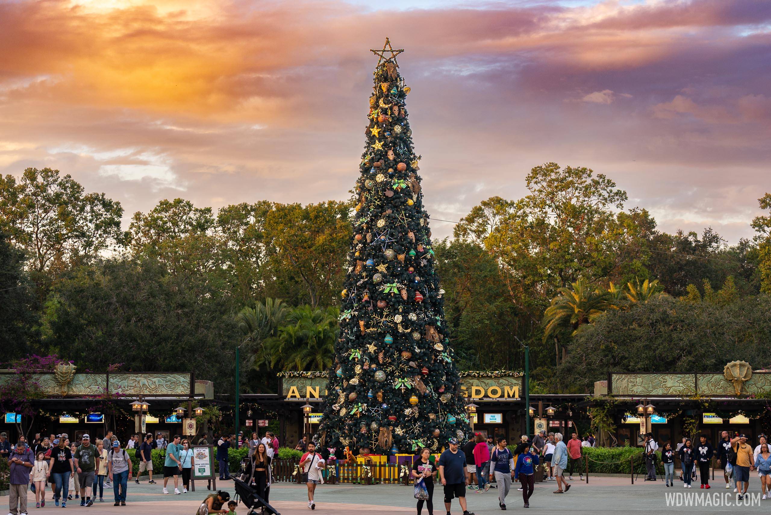 Disney's Animal Kingdom Christmas Holiday decor 2022