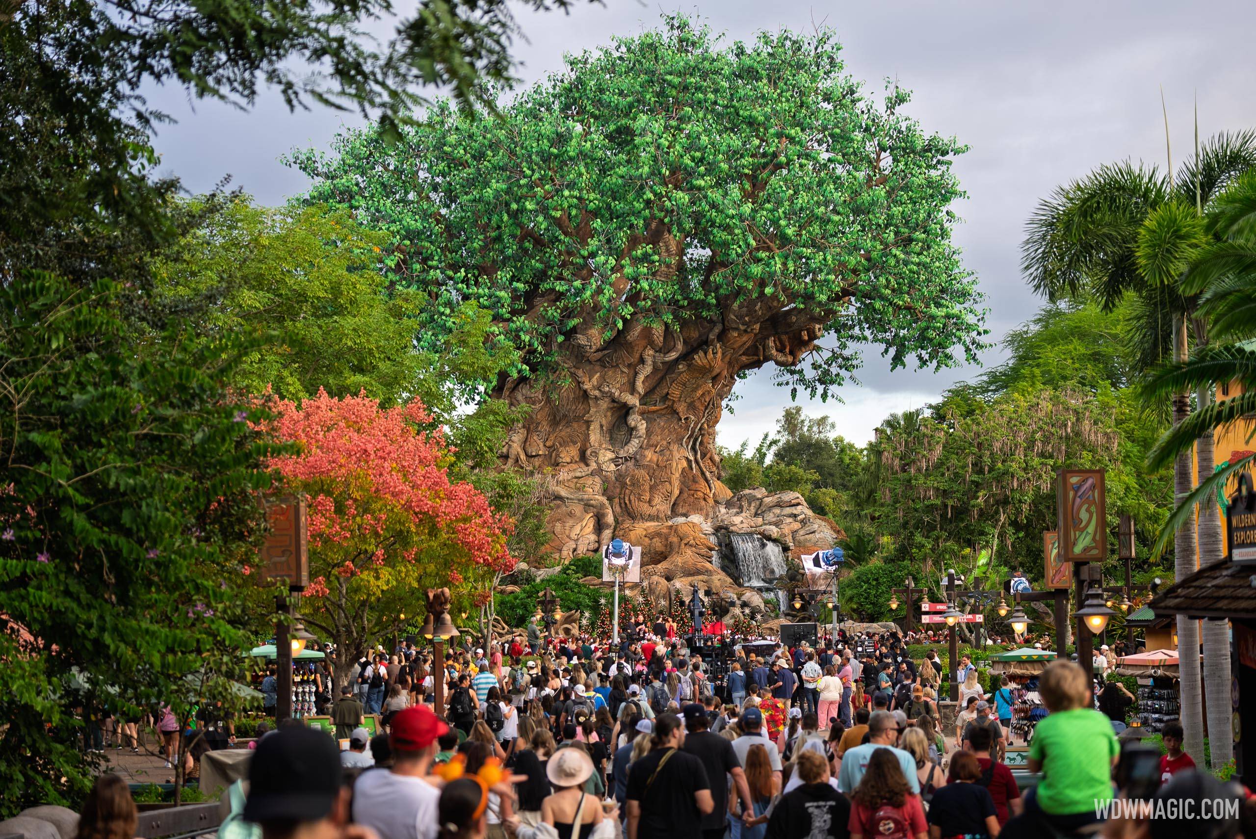 Mariah the Scientist Records Performance at Disney's Animal Kingdom for ABC Holiday Special