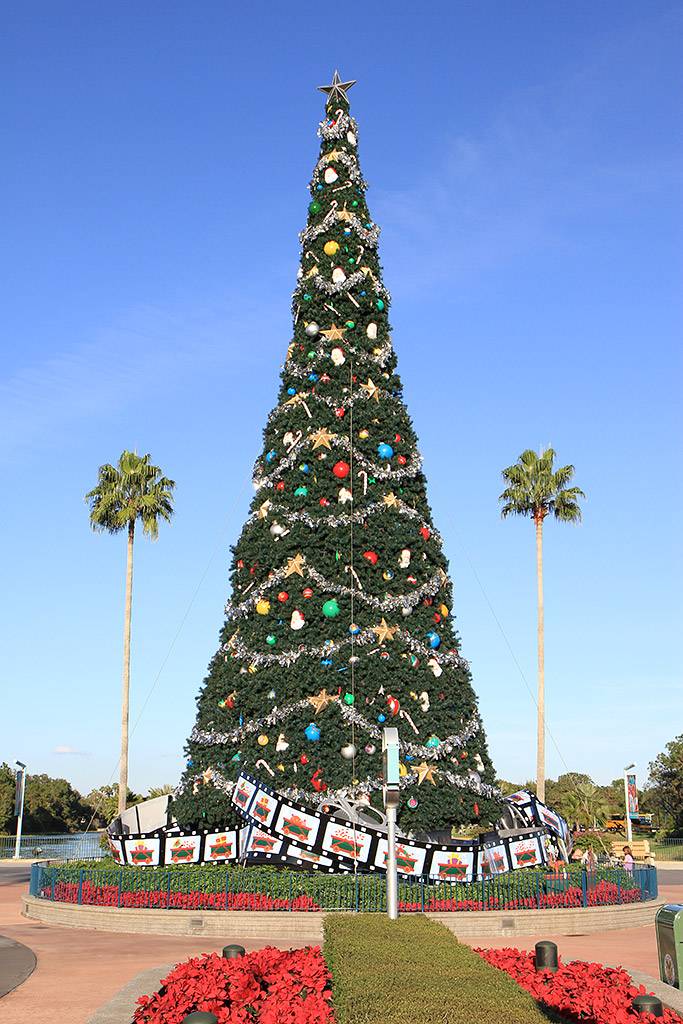 Holiday decorations and Christmas tree now up at Disney's Hollywood Studios