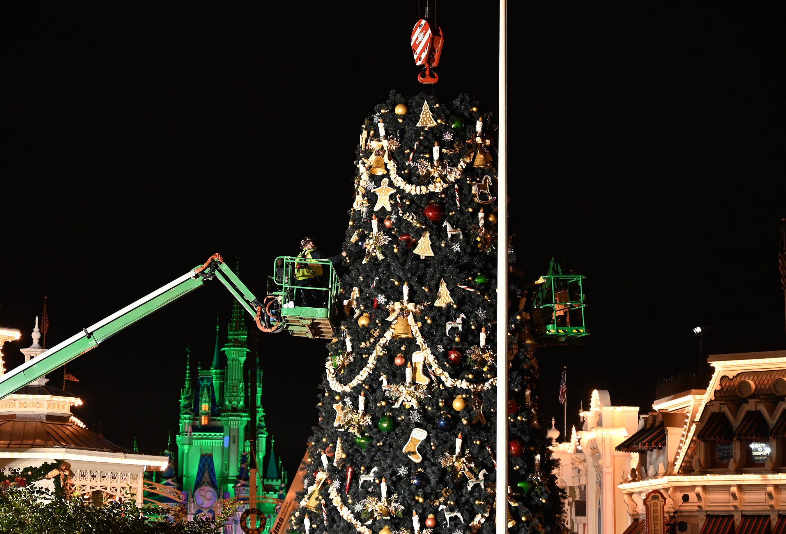 Magic Kingdom Christmas Tree overnight installation November 1 2021