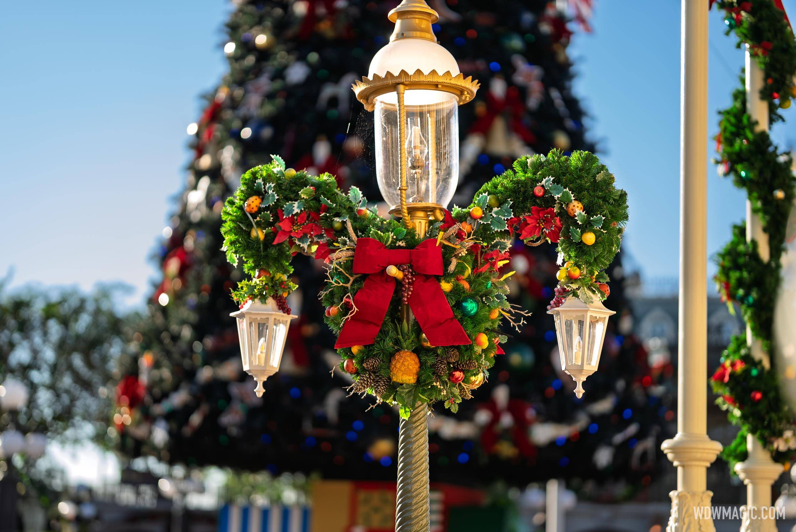 Christmas Tree Arrives at Magic Kingdom 2025