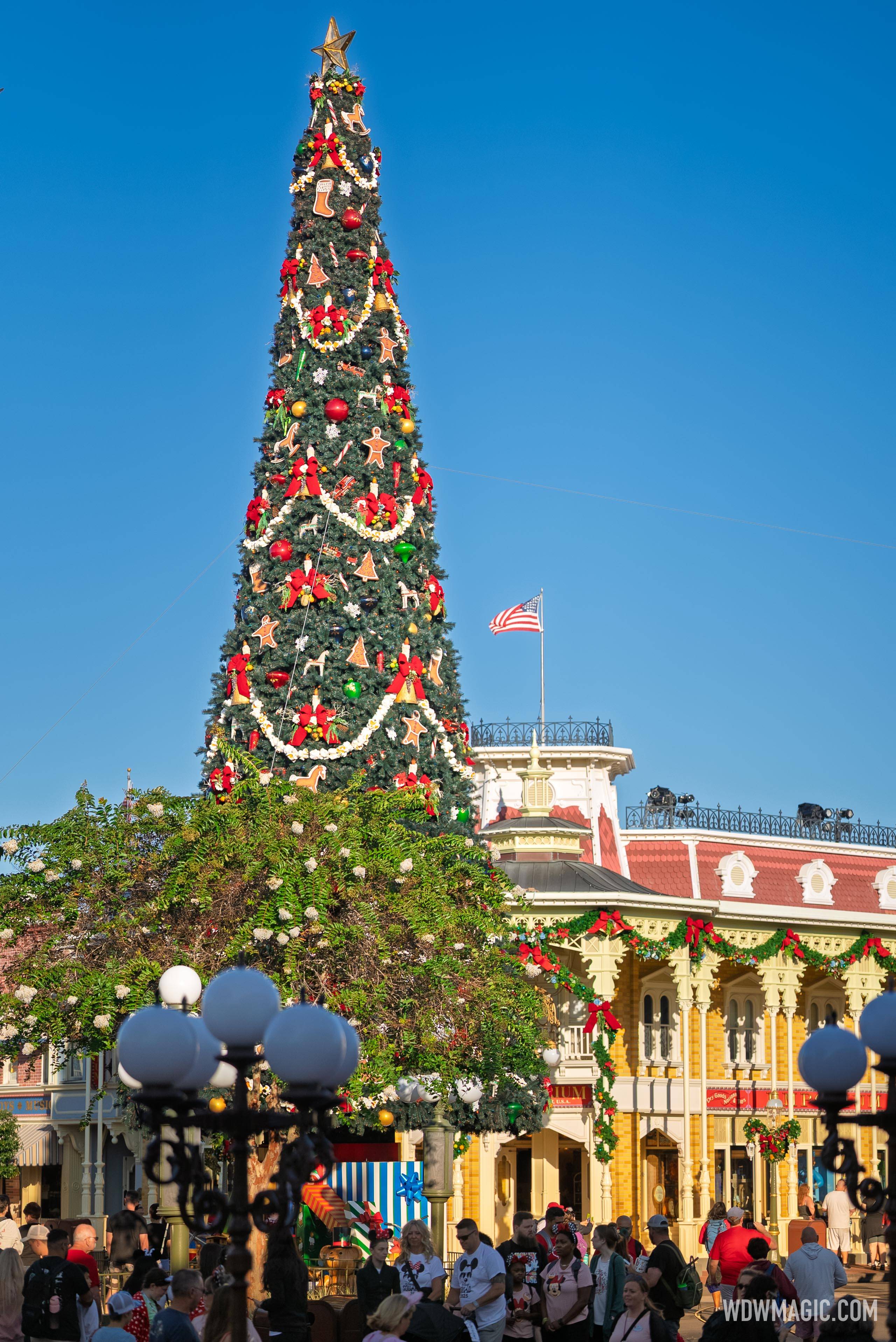 Christmas Tree Arrives at Magic Kingdom 2025