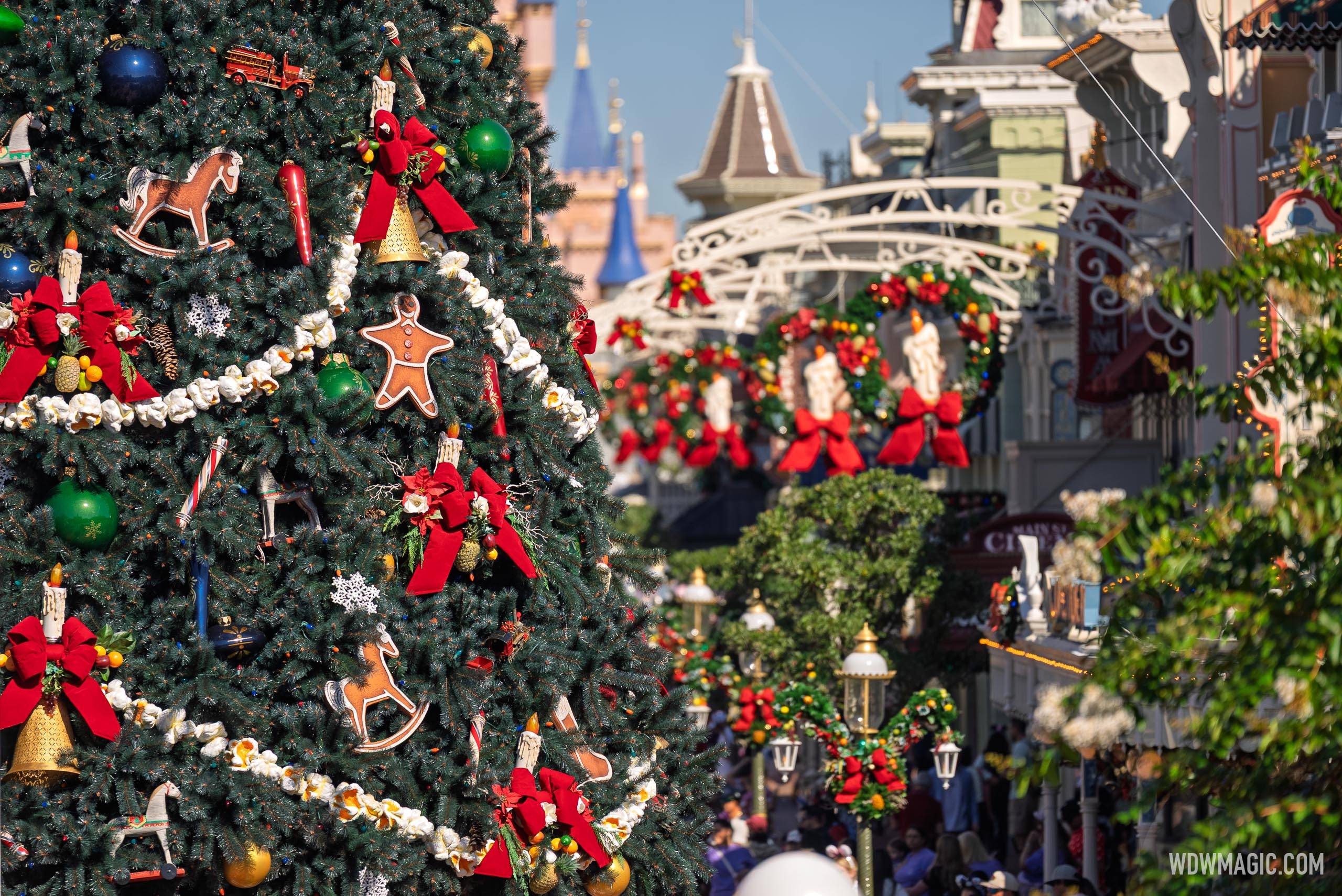 Christmas Tree Arrives at Magic Kingdom 2025