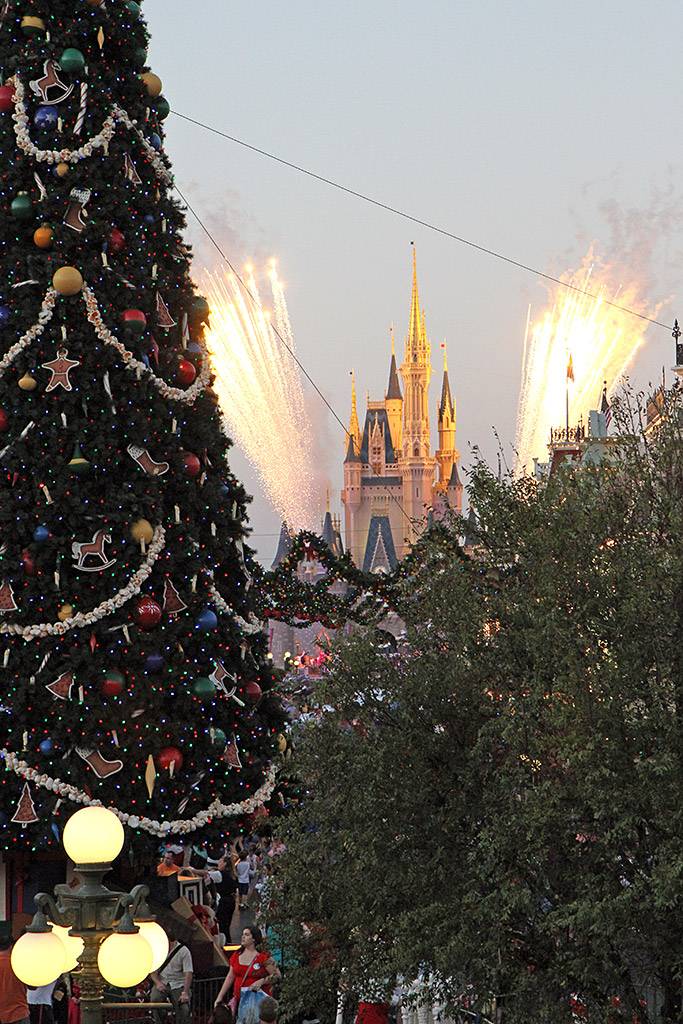Magic Kingdom Christmas tree now in place at Town Square