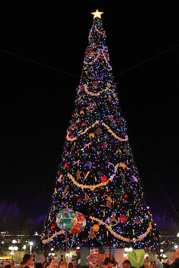 The Christmas tree lit