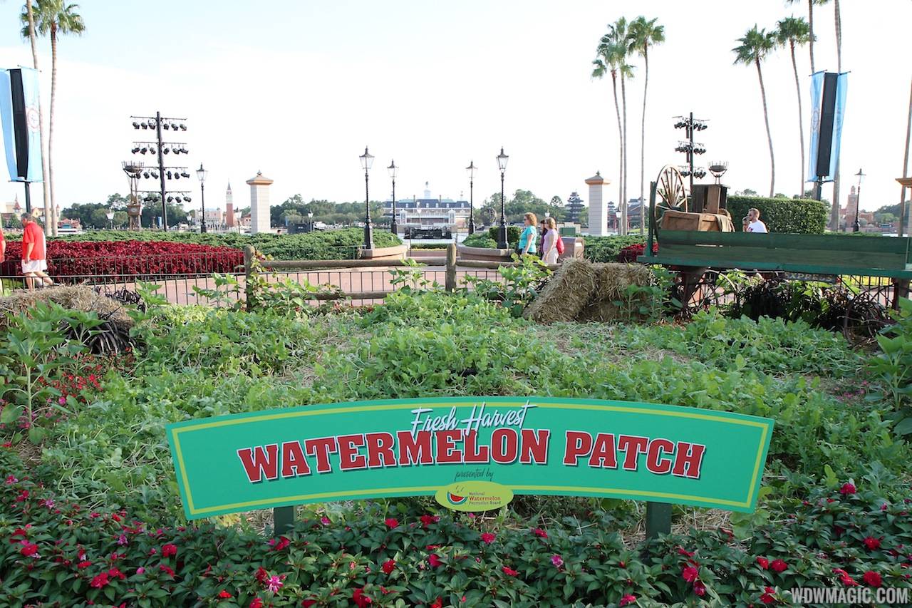 2012 International Food and Wine Festival kiosks - The Watermelon patch