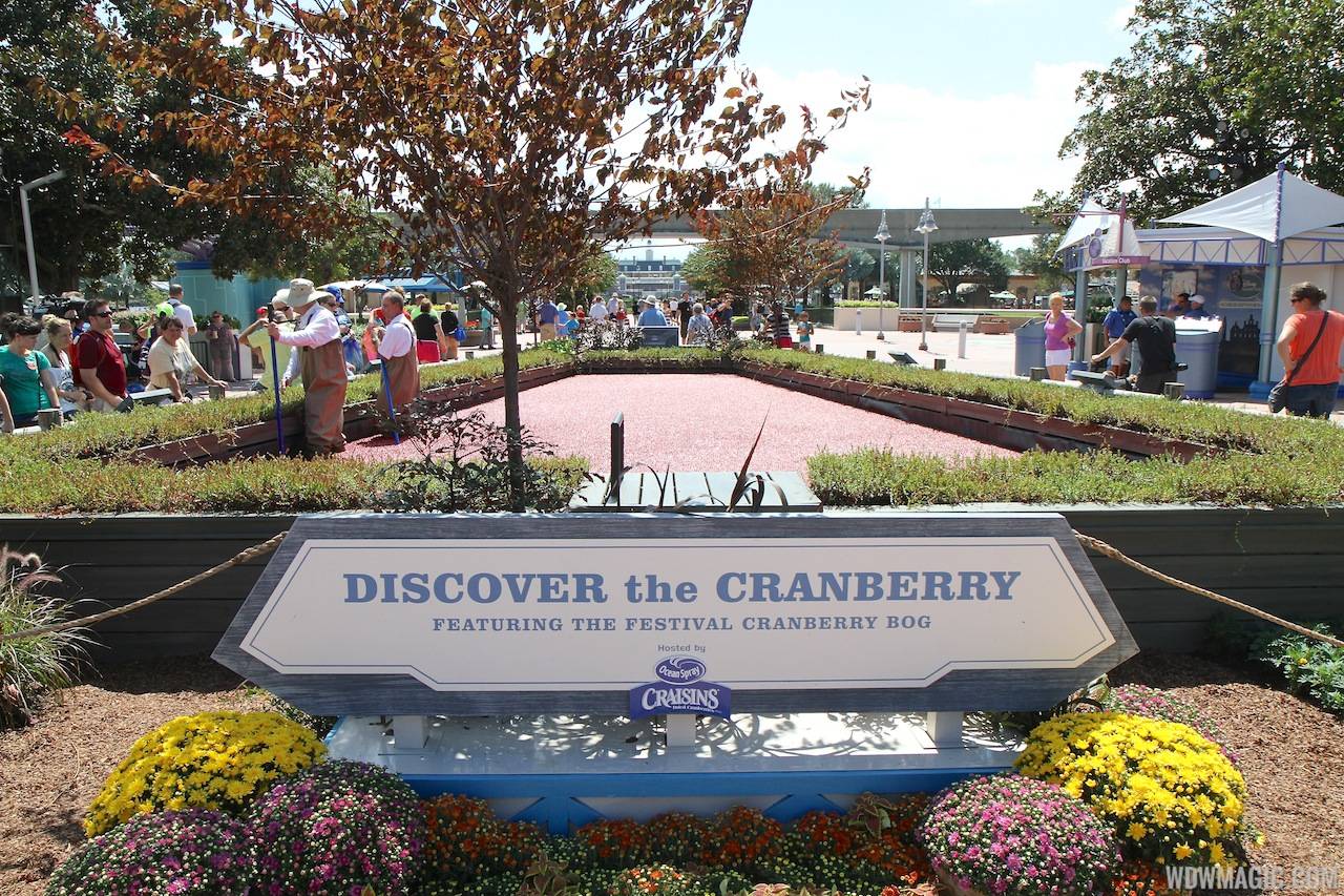 2013 Epcot International Food and Wine Festival - Cranberry bog