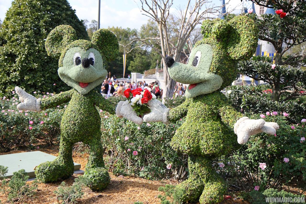 Limited Time Magic True Love week - Mickey and Minnie Rose topiary