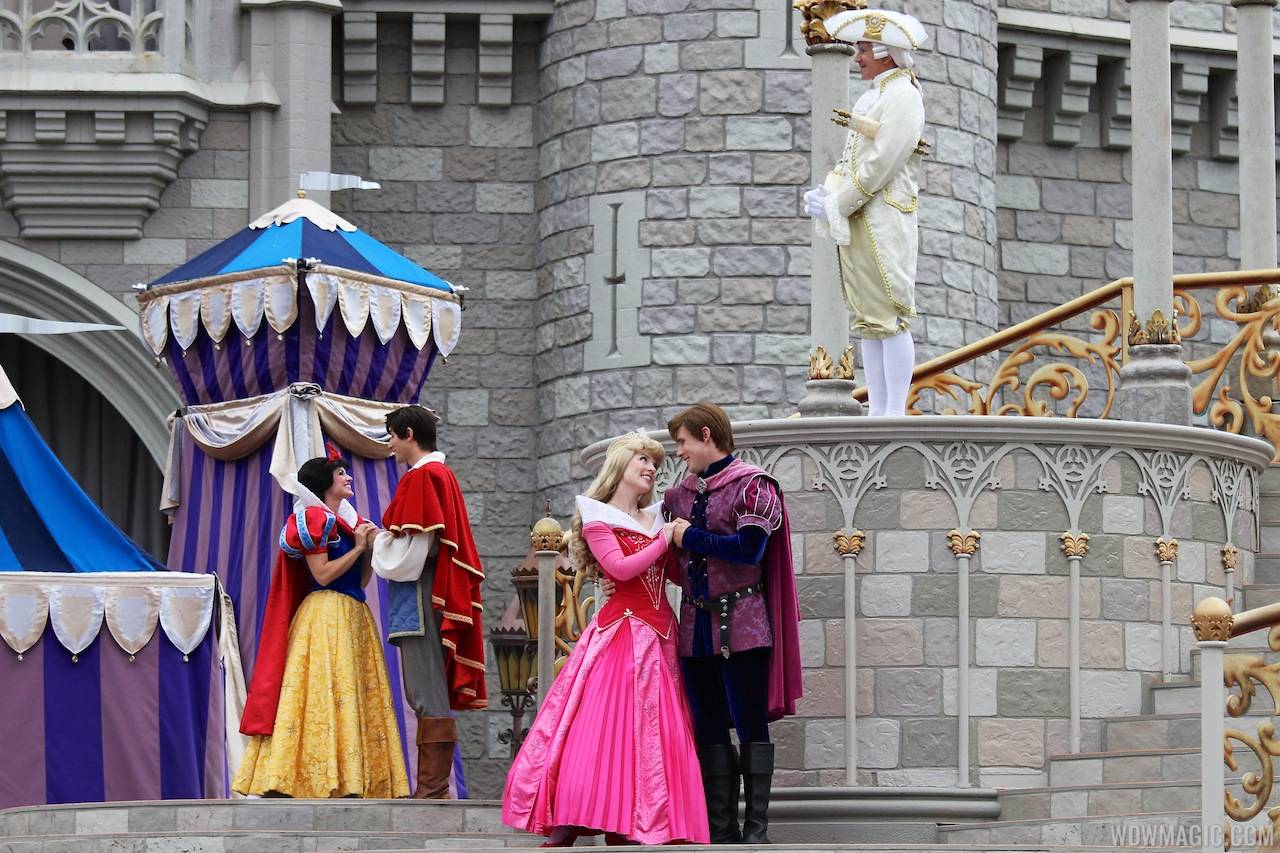 Limited Time Magic's True Love Week - 'A Celebration of True Love' - Disney Princesses