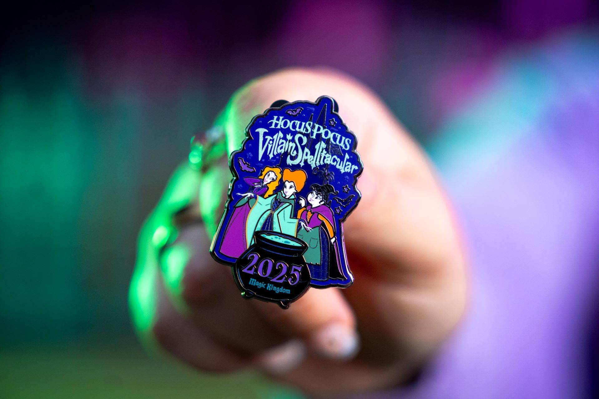 Hocus Pocus Pins