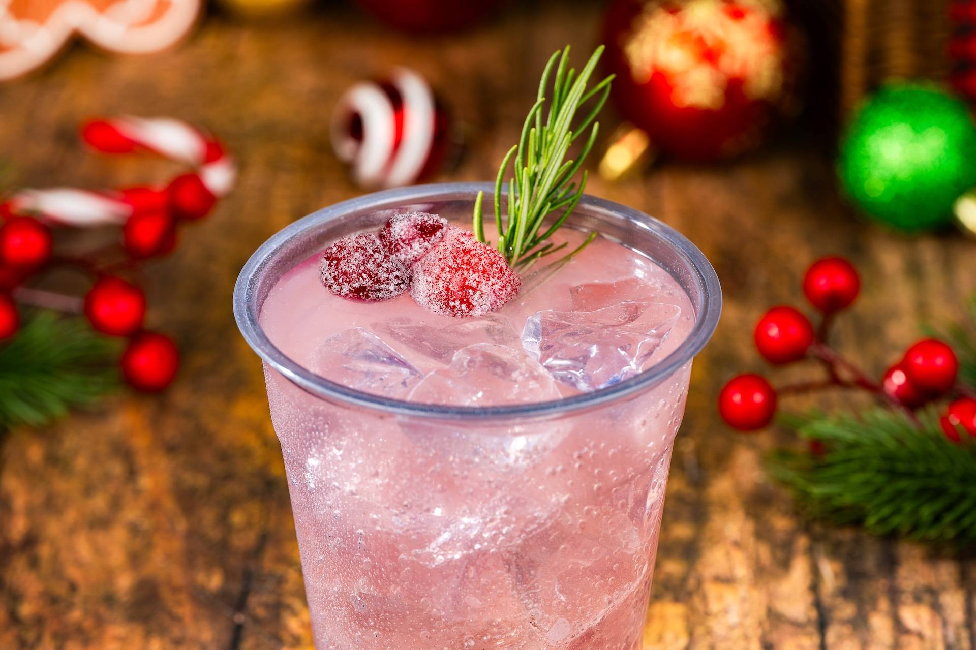 Cranberry Cider Punch